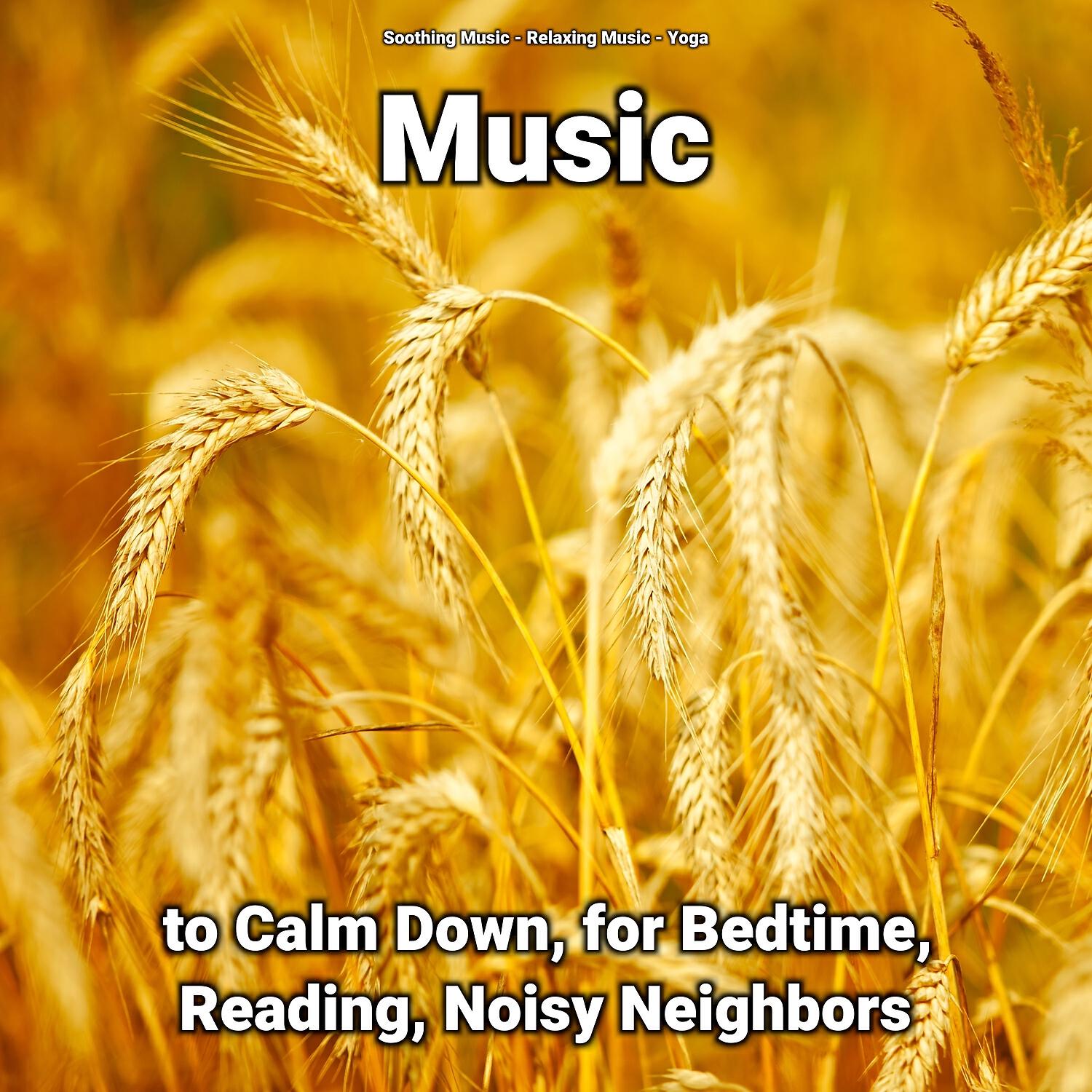 Релиз Music to Calm Down, for Bedtime, Reading, Noisy Neighbors