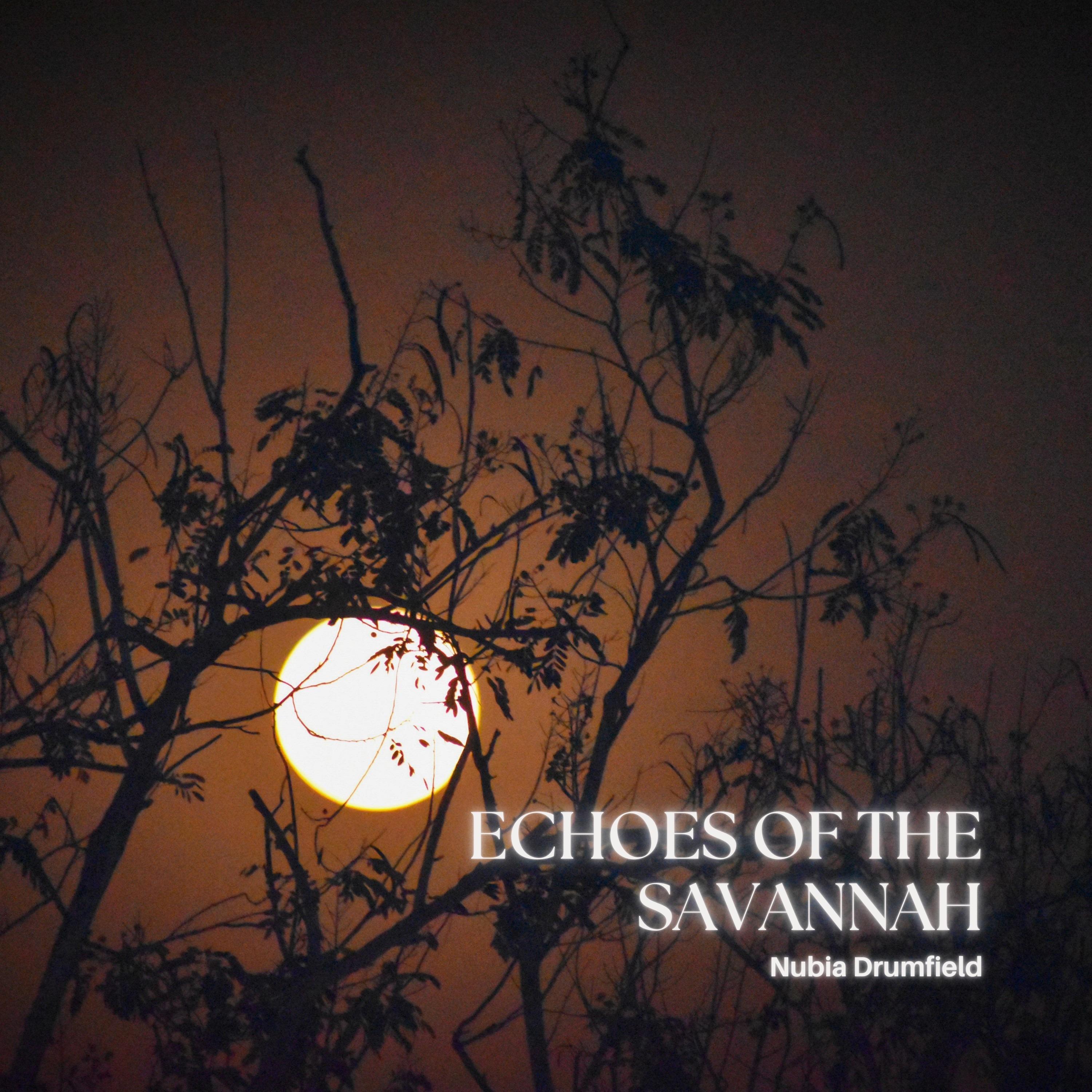 Релиз Echoes of the Savannah