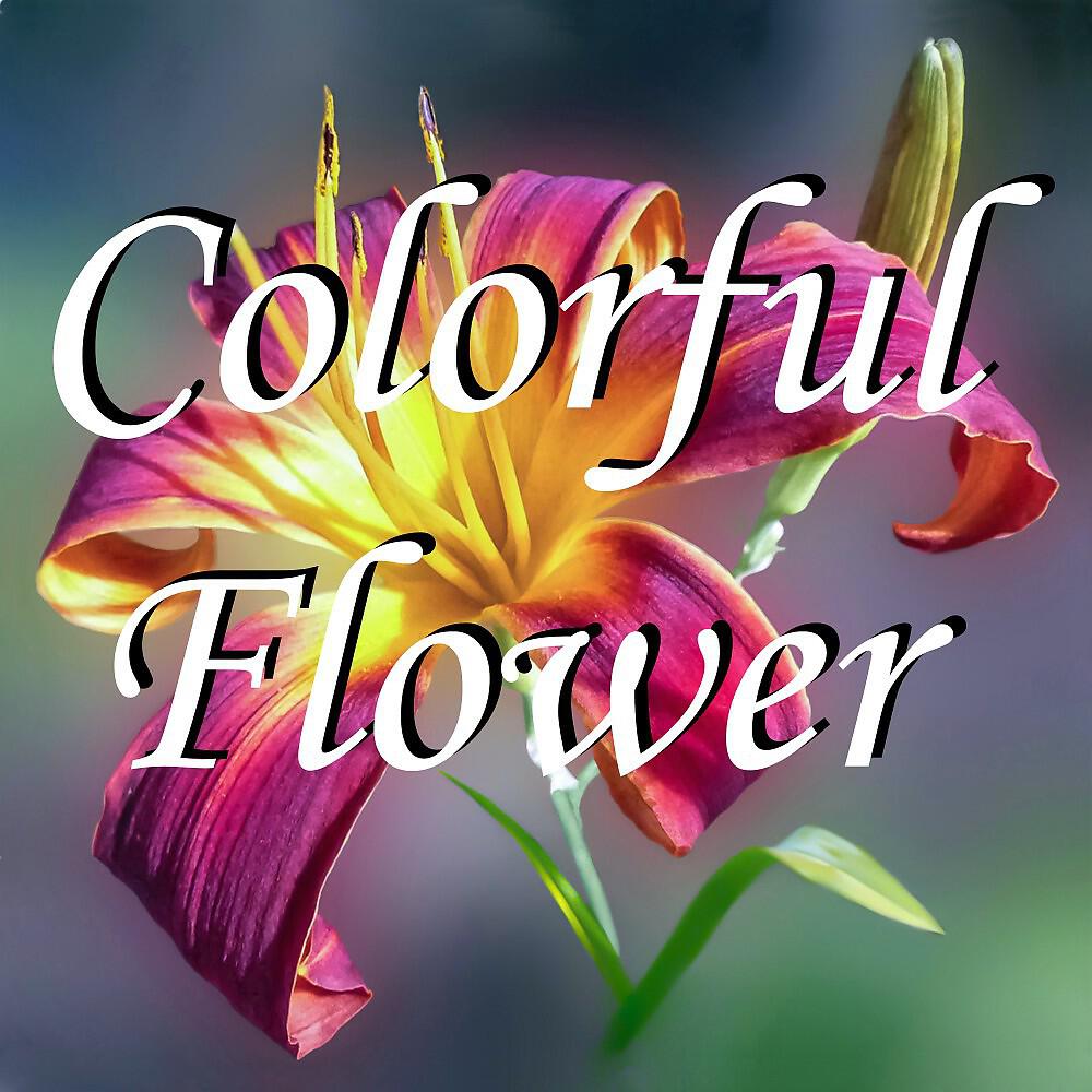 Релиз Colorful Flower