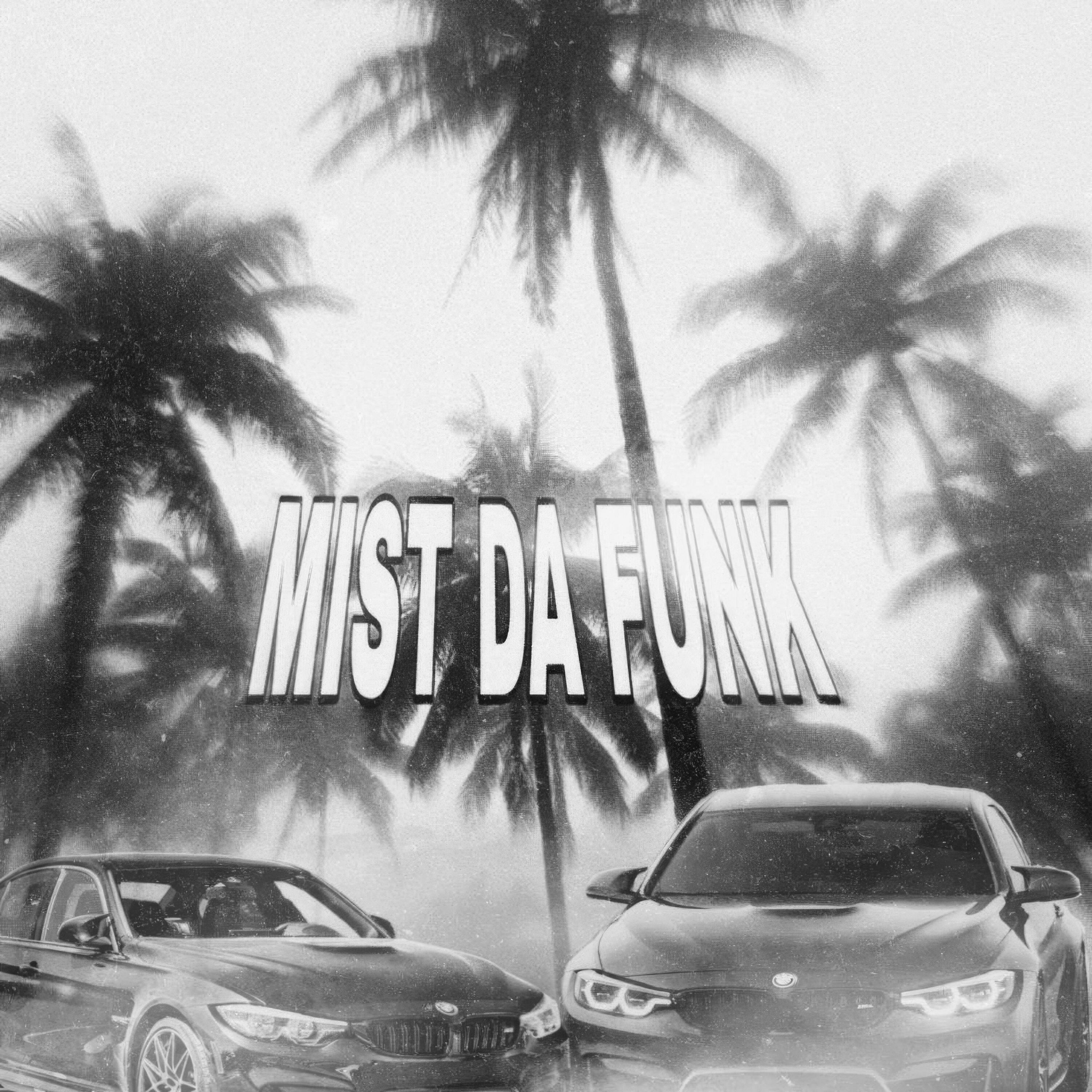 Постер альбома MIST DA FUNK