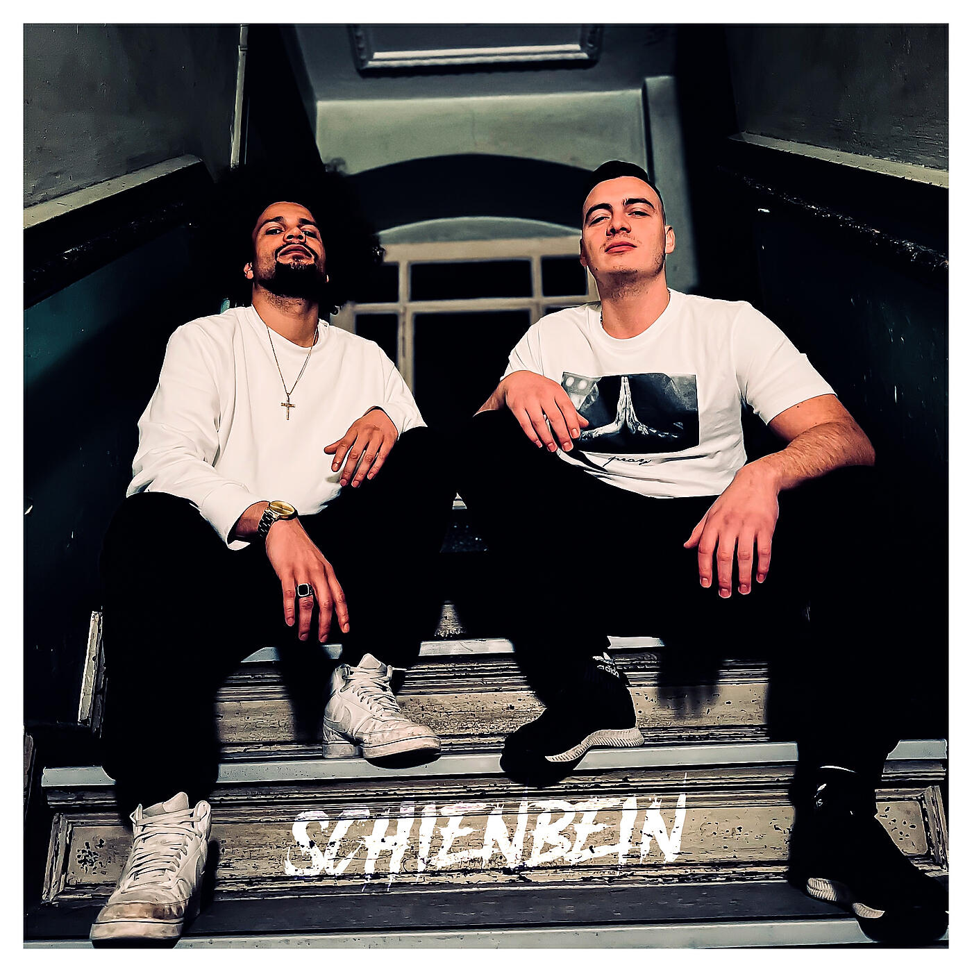 Релиз Schienbein