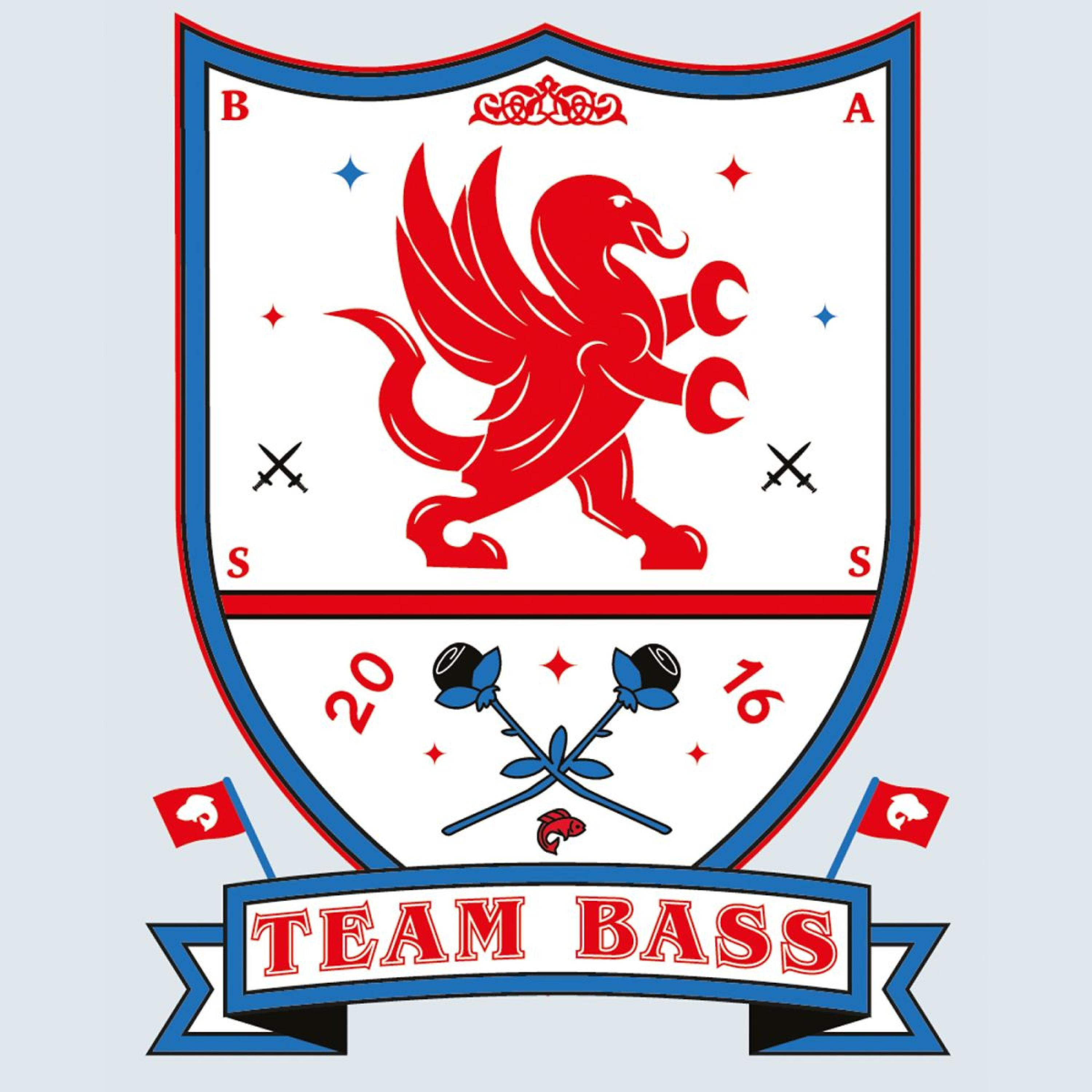 Релиз Team Bass