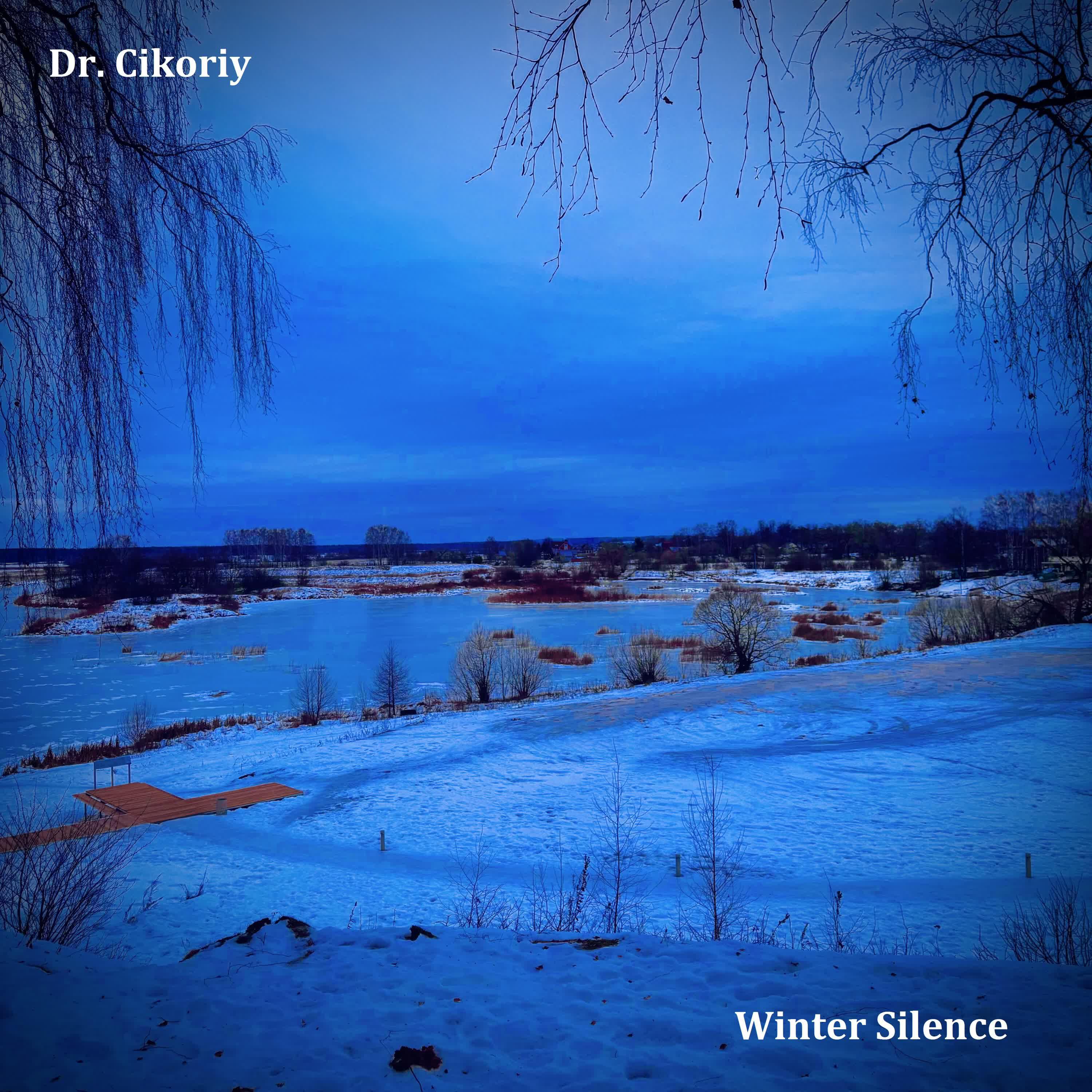 Релиз Winter Silence