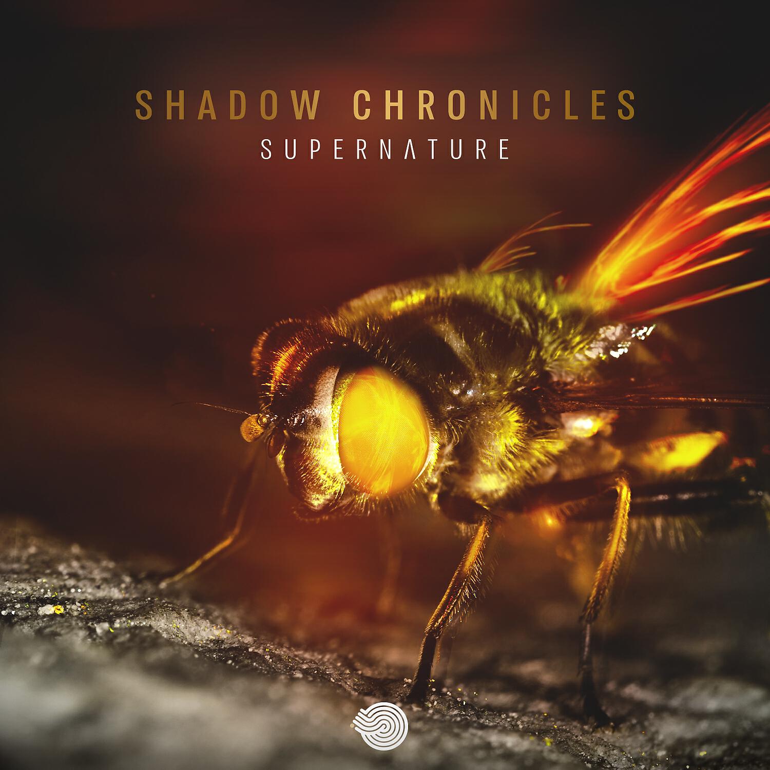 Релиз Supernature