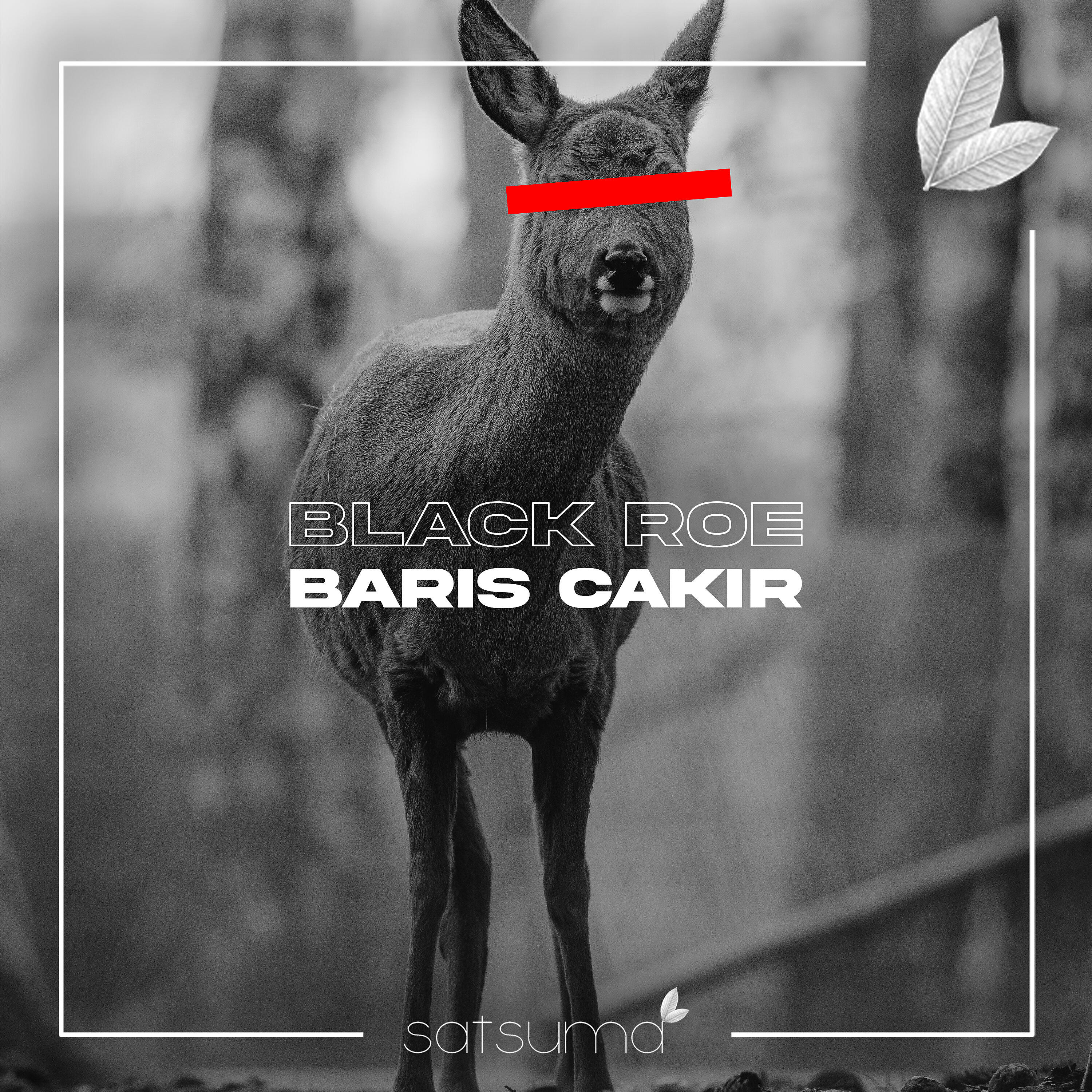 Релиз Black Roe