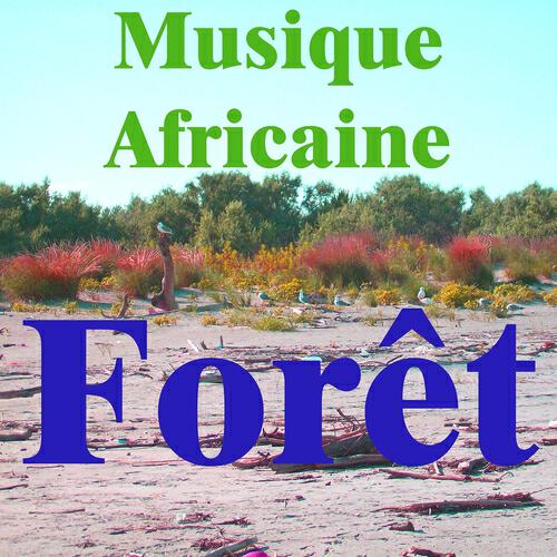 Релиз Musique africaine