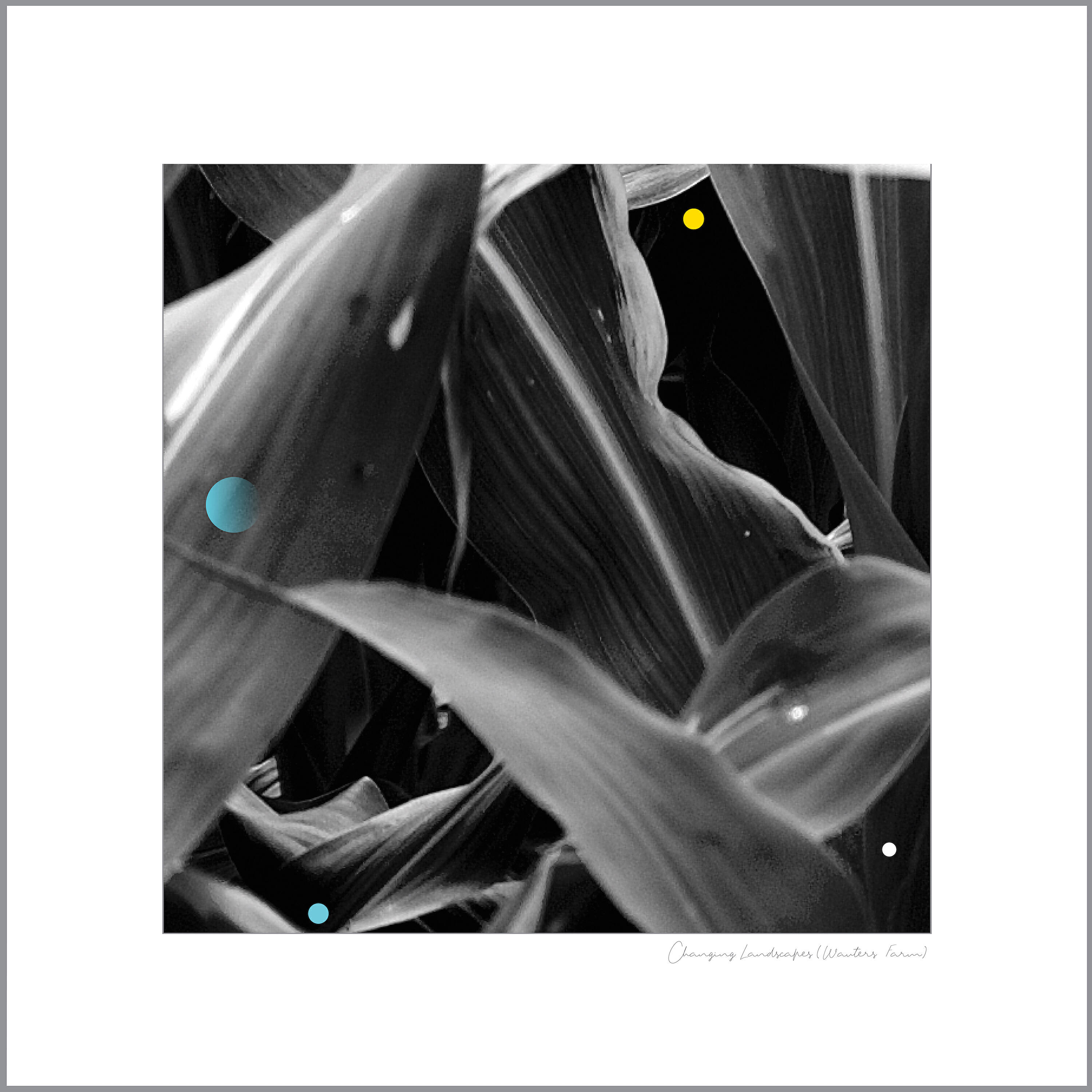 Релиз Lightning Bugs