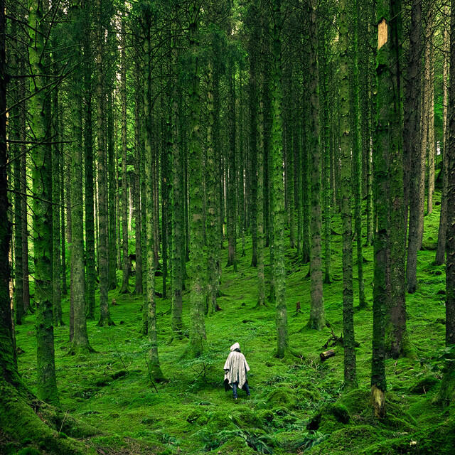 Релиз Womb Sound to Relax