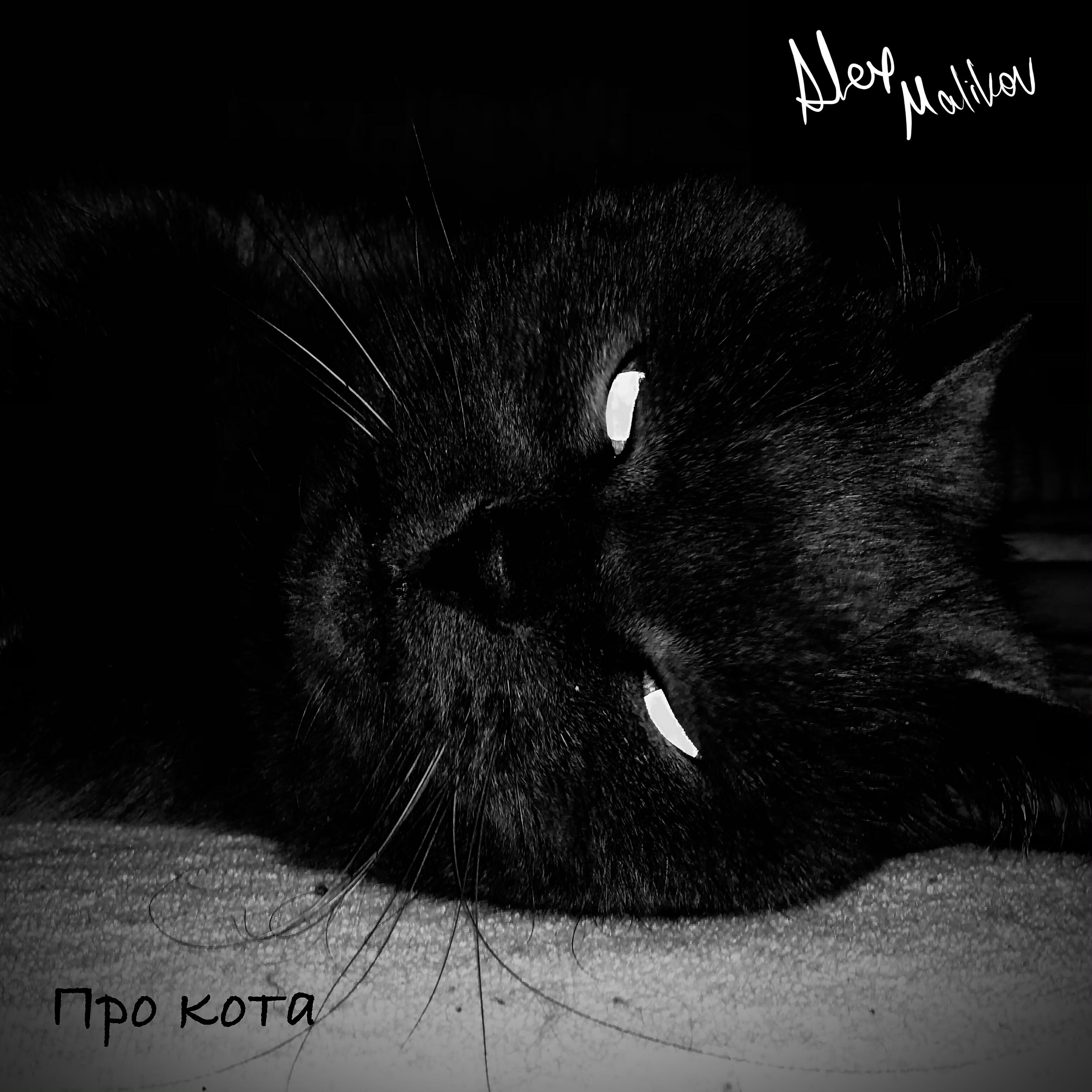 Релиз Про кота