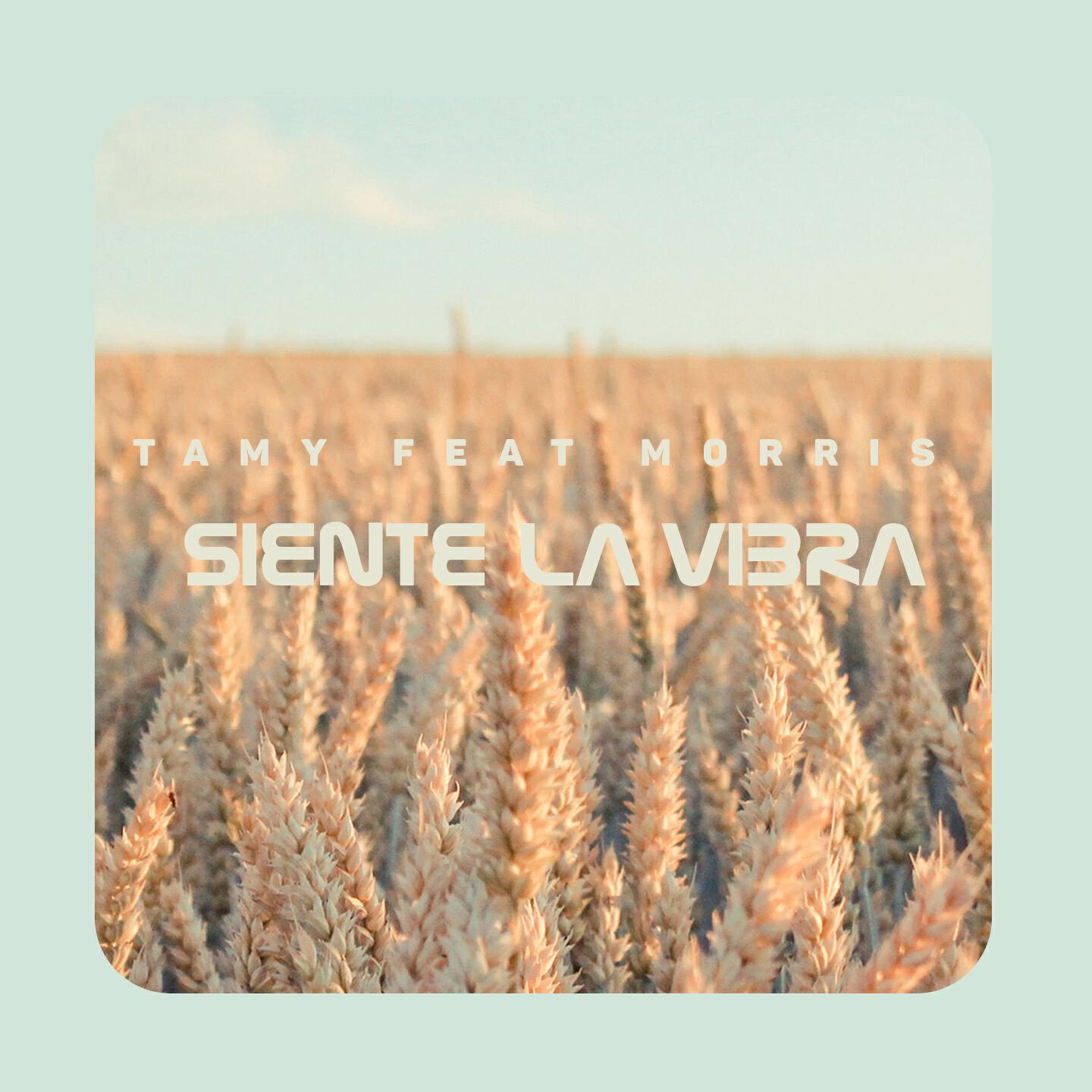 Релиз Siente la Vibra
