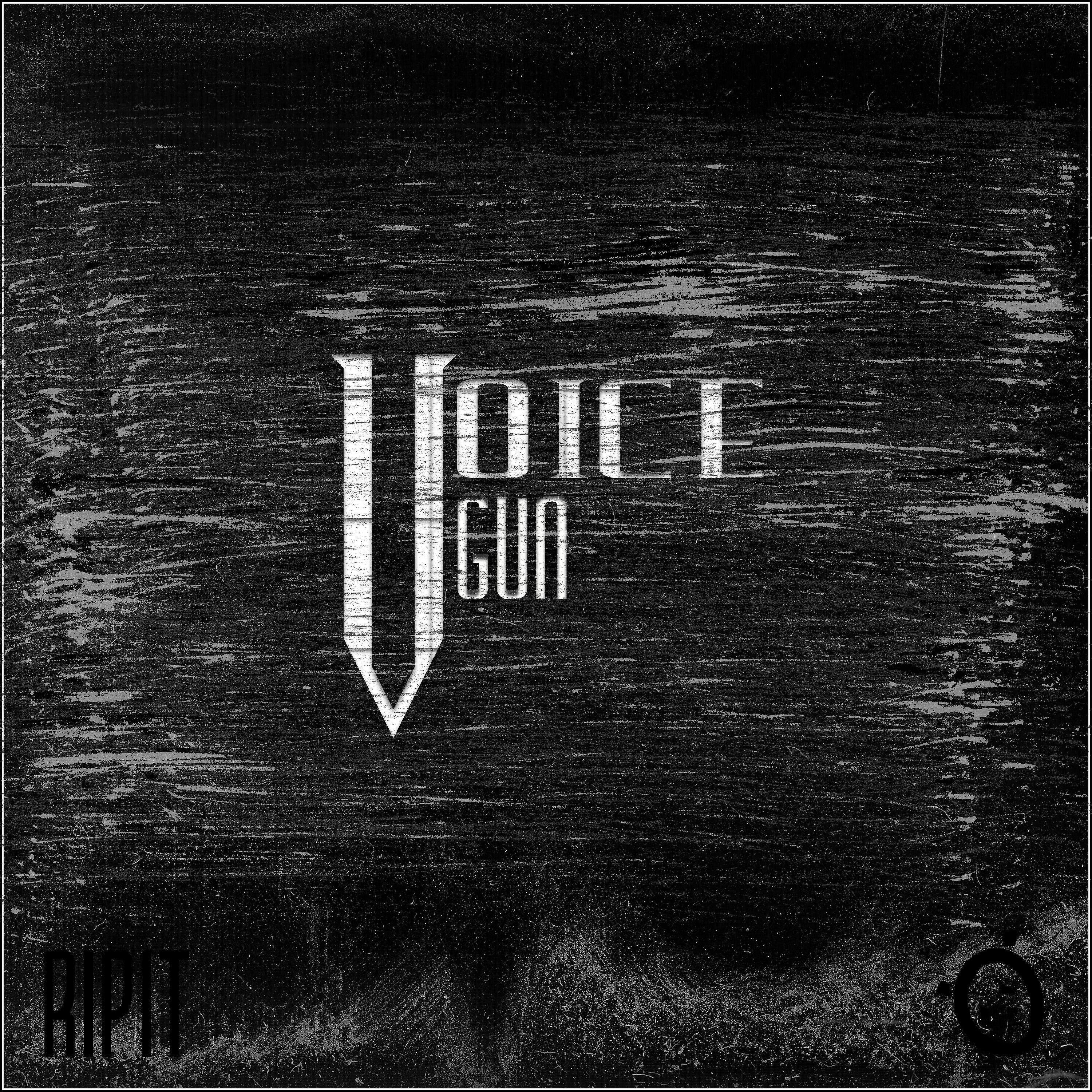 Релиз Voicegun