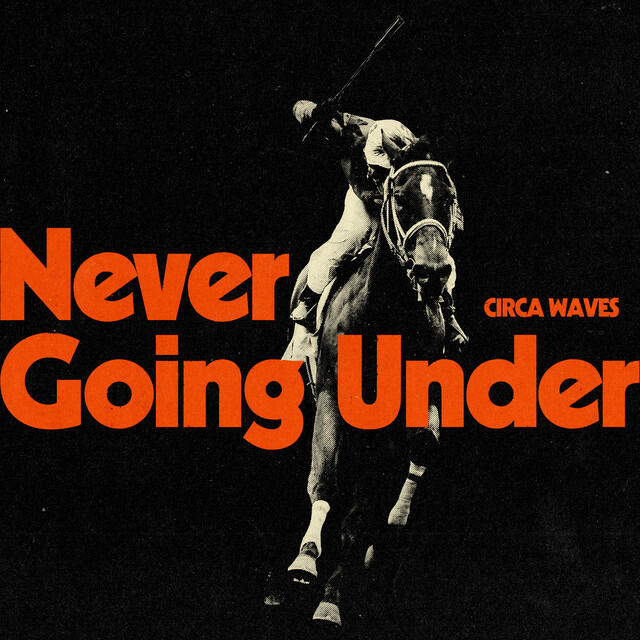 Постер альбома Never Going Under