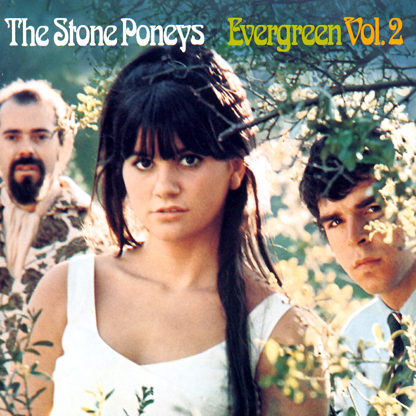 Релиз Evergreen, Vol.2