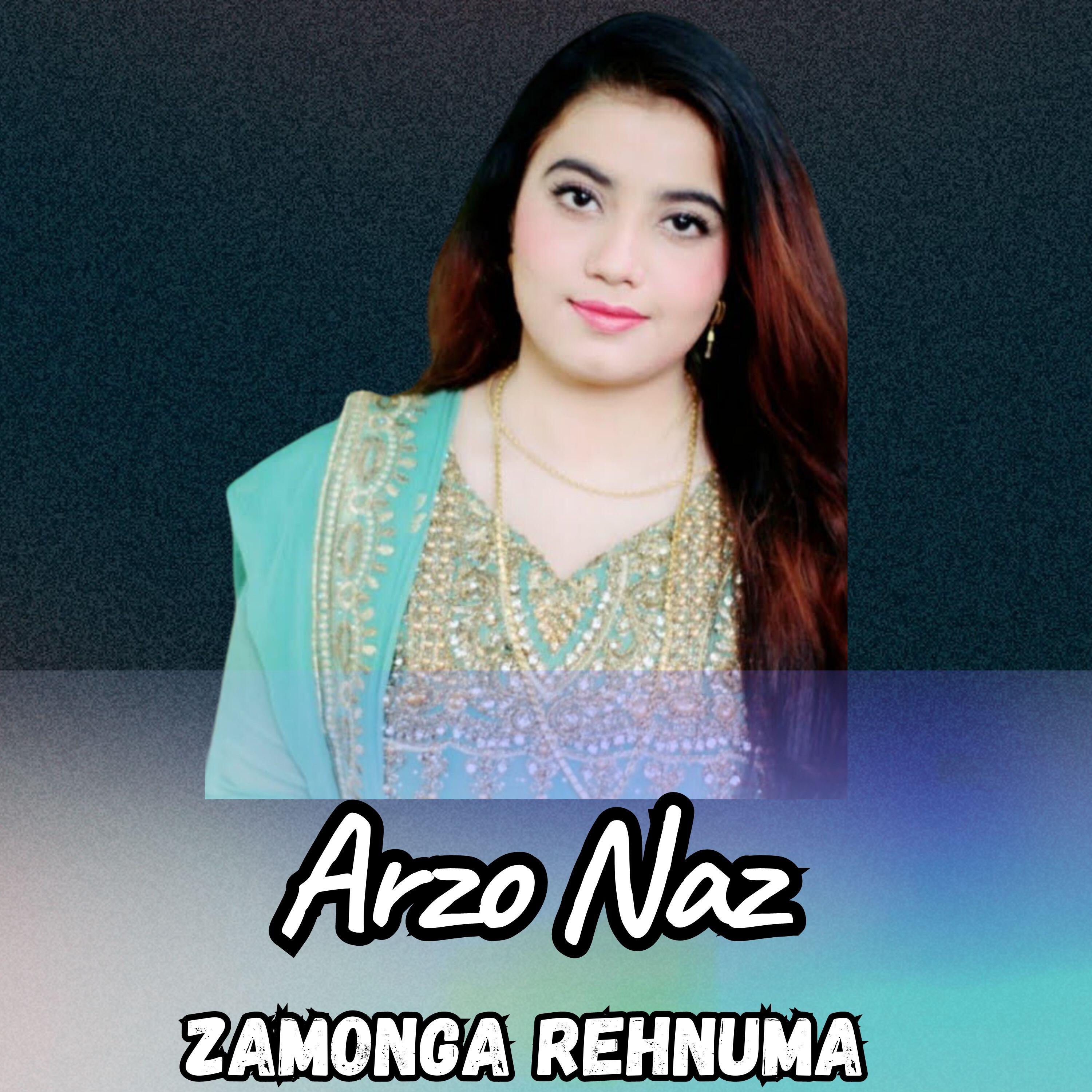 Релиз Zamonga Rehnuma