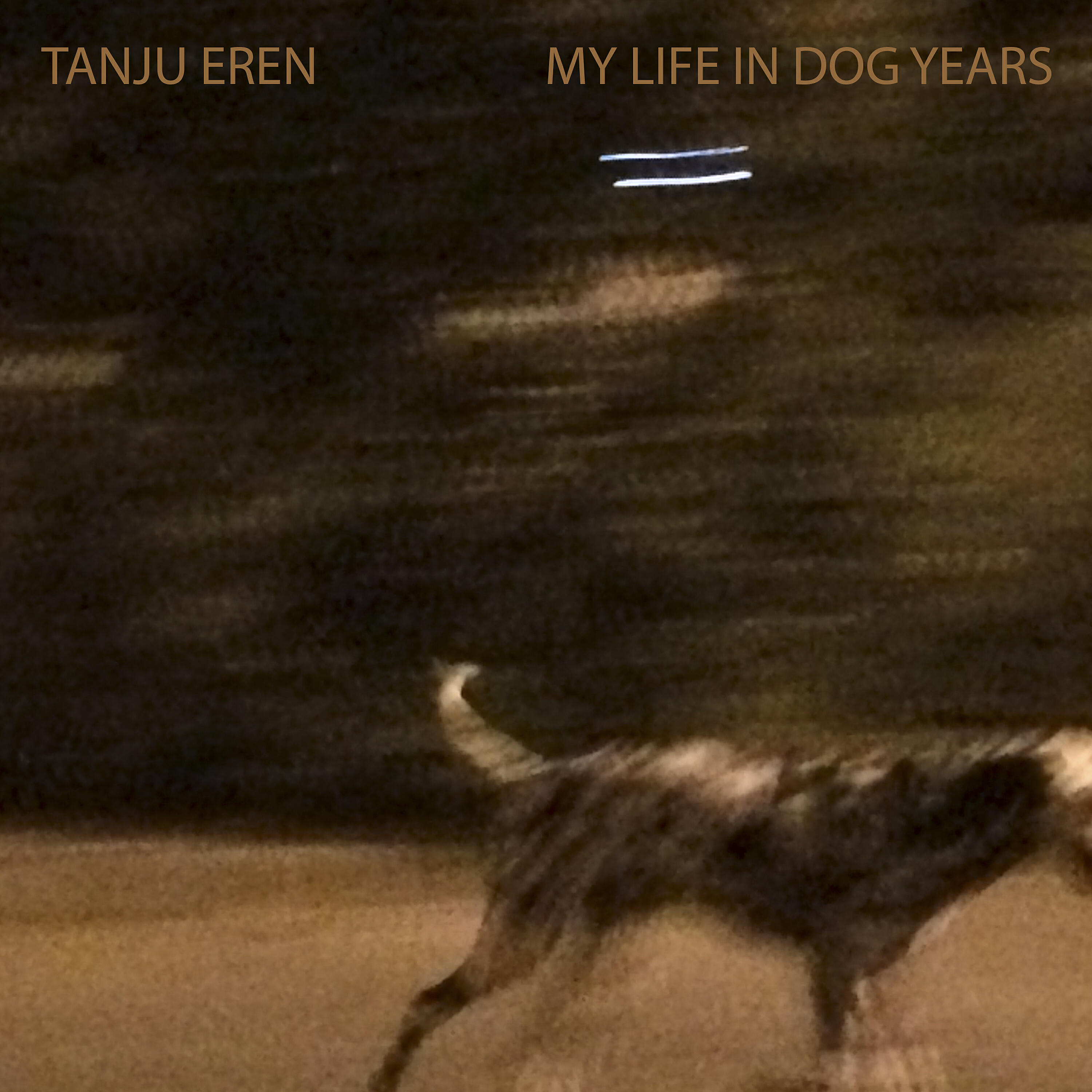 Релиз My Life in Dog Years