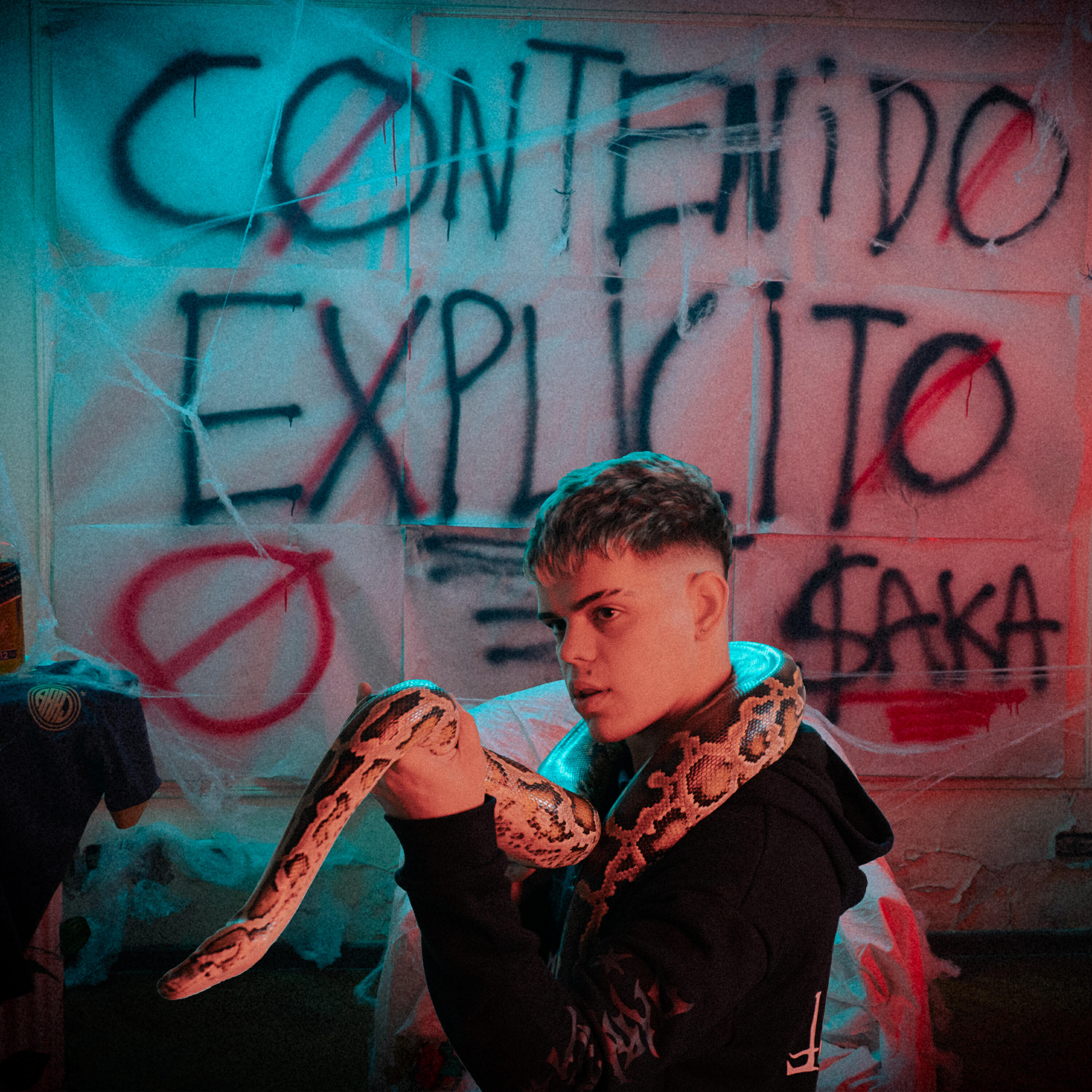 Релиз Contenido Explícito