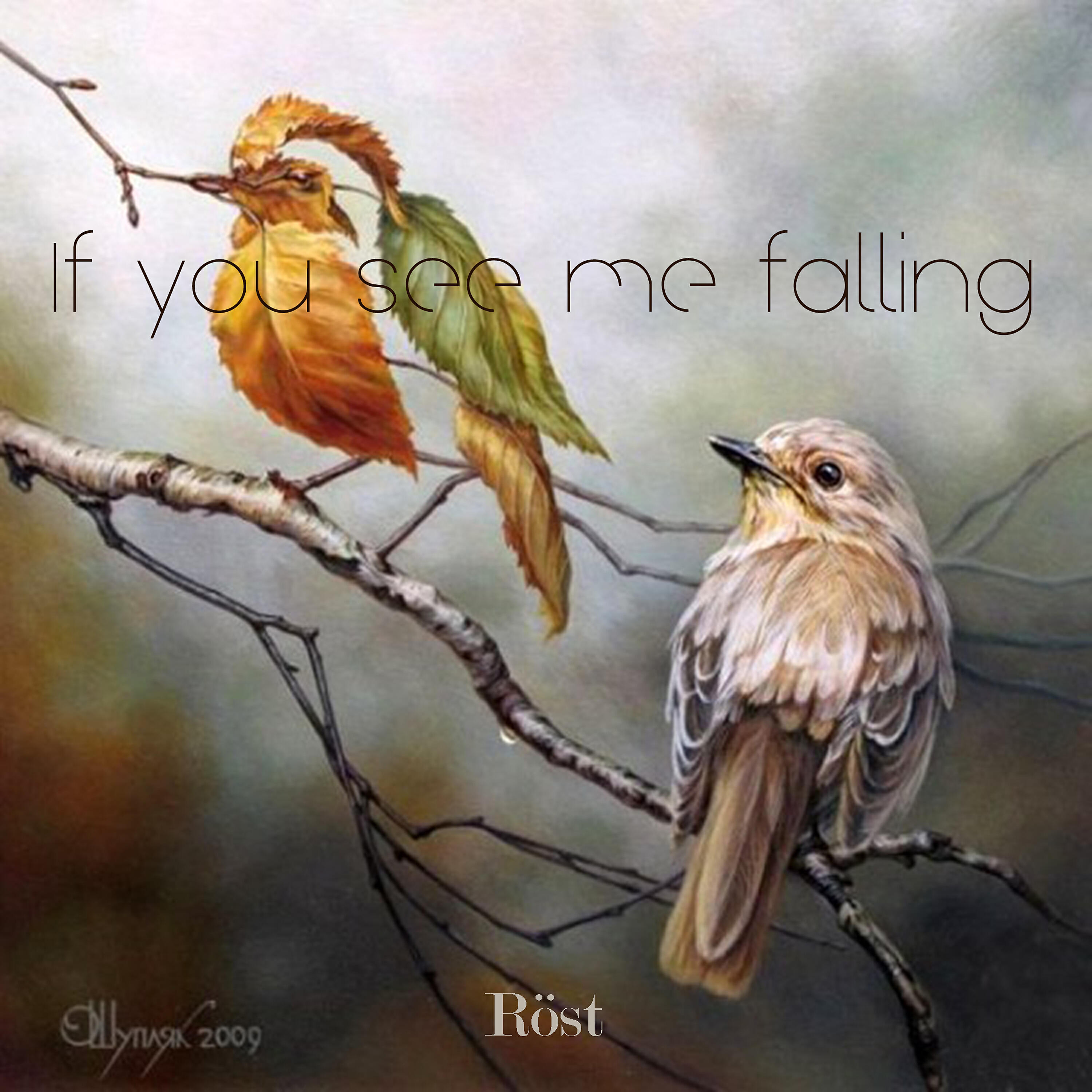 Релиз If You See Me Falling