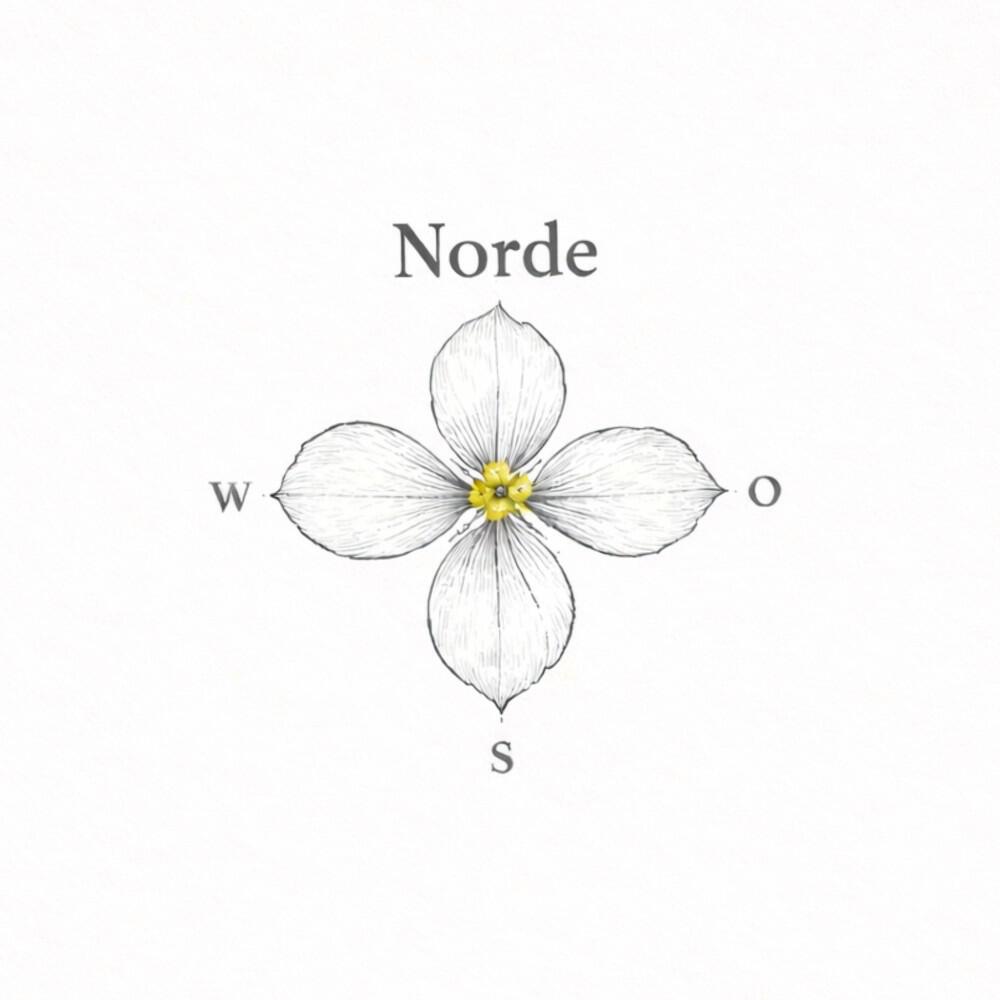 Релиз Norde