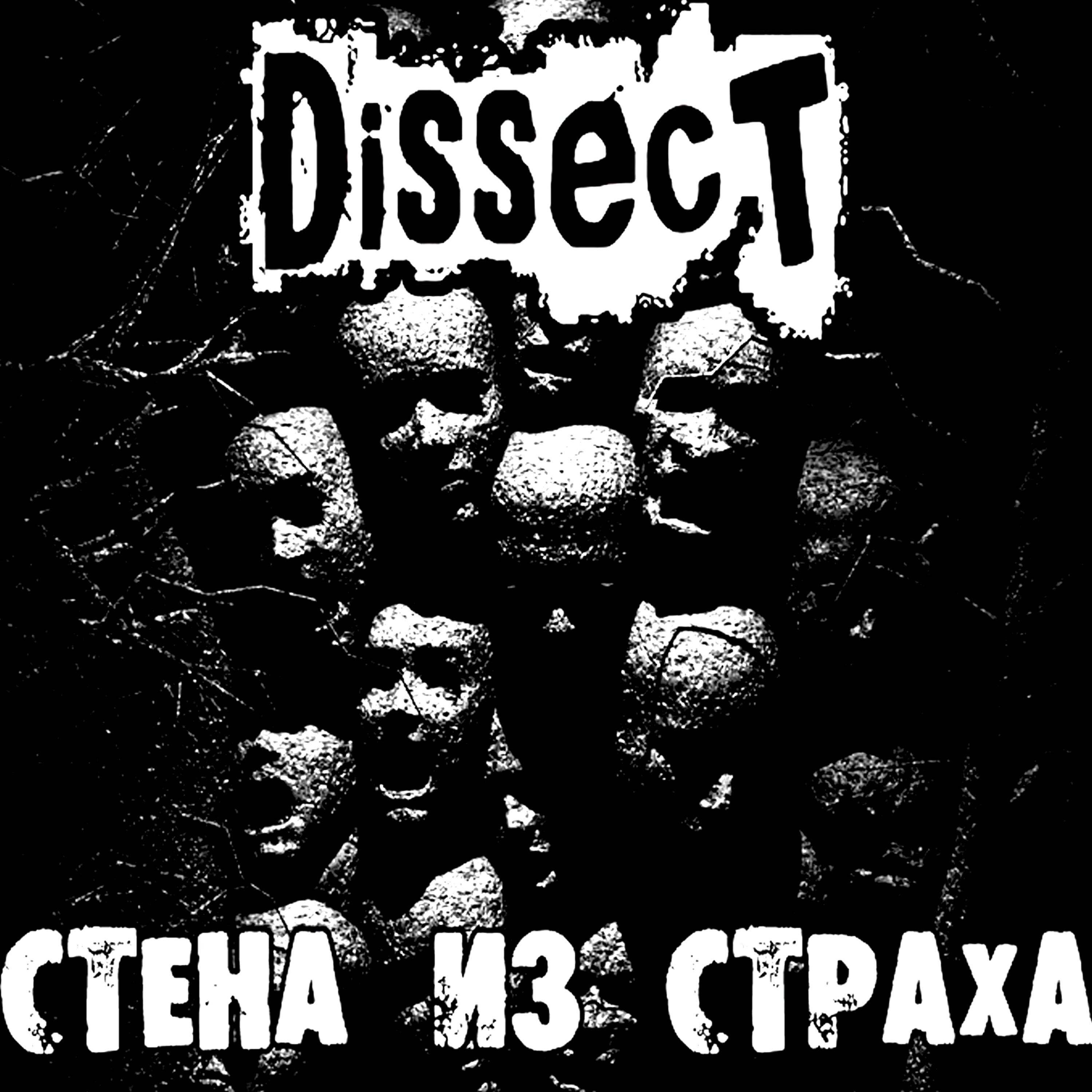 Релиз Стена из страха
