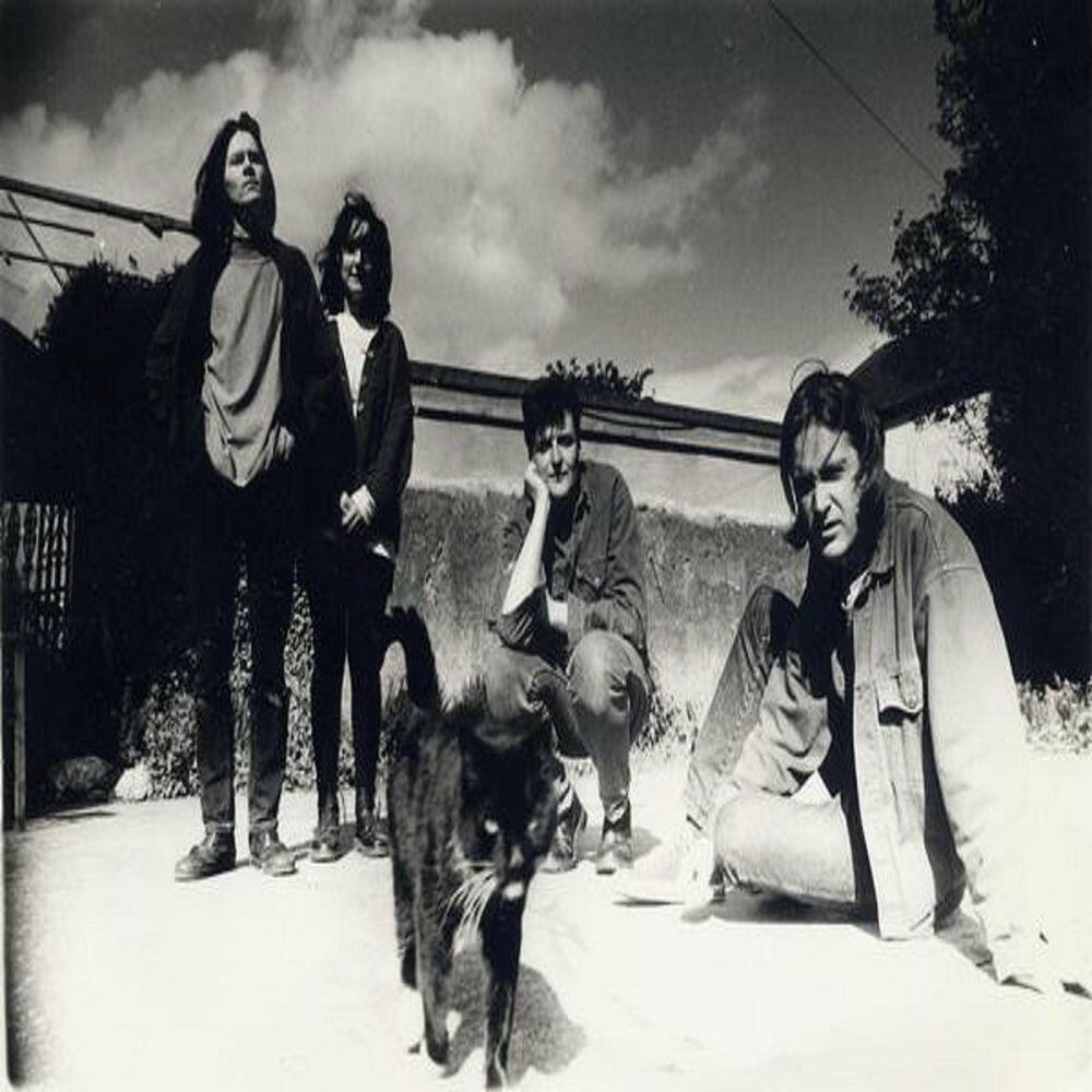 Релиз There's a Mountain