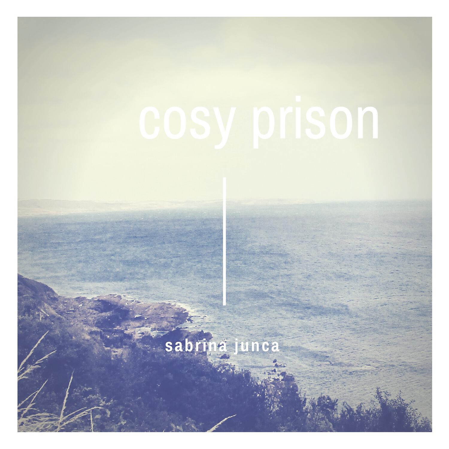 Релиз Cosy Prison