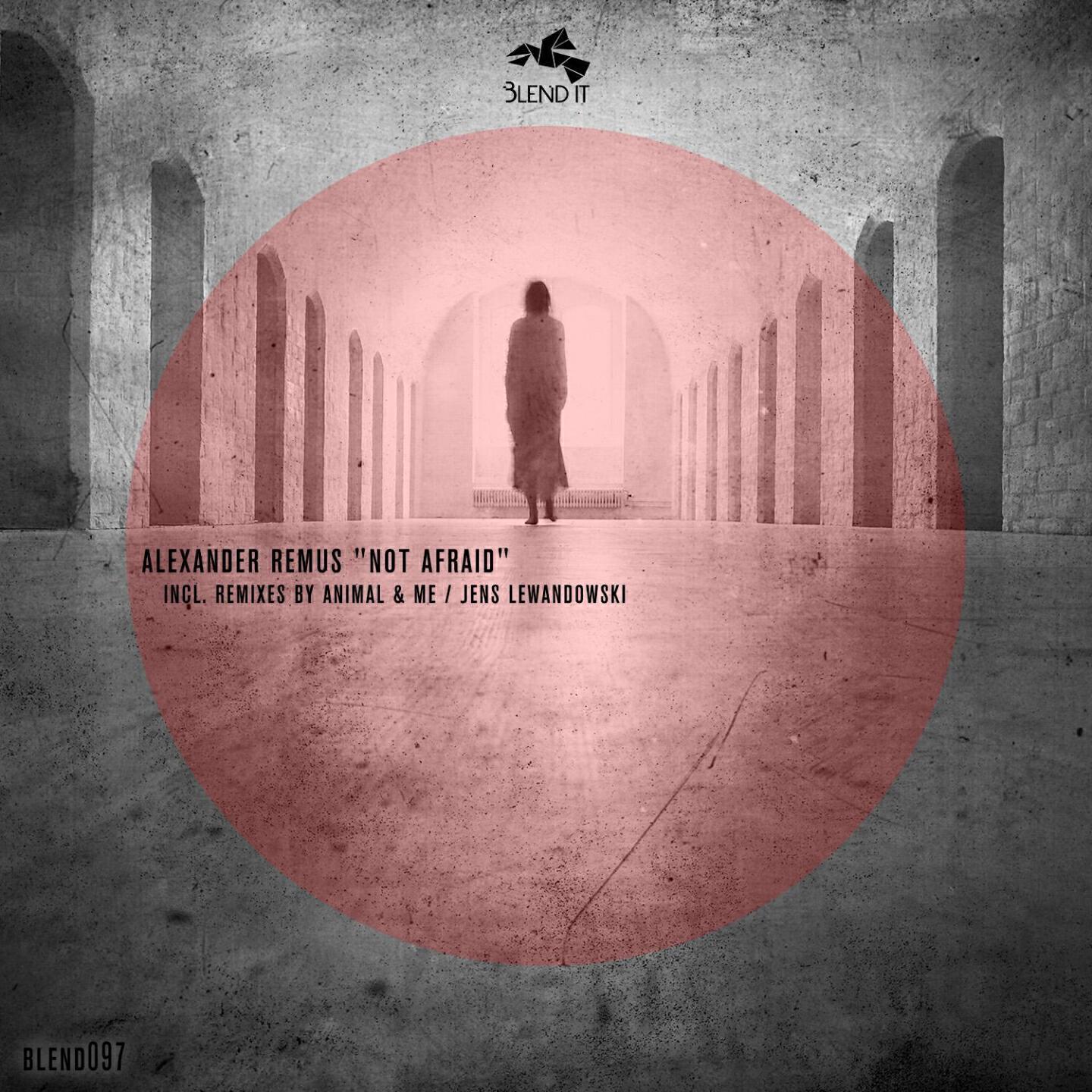 Релиз Not Afraid