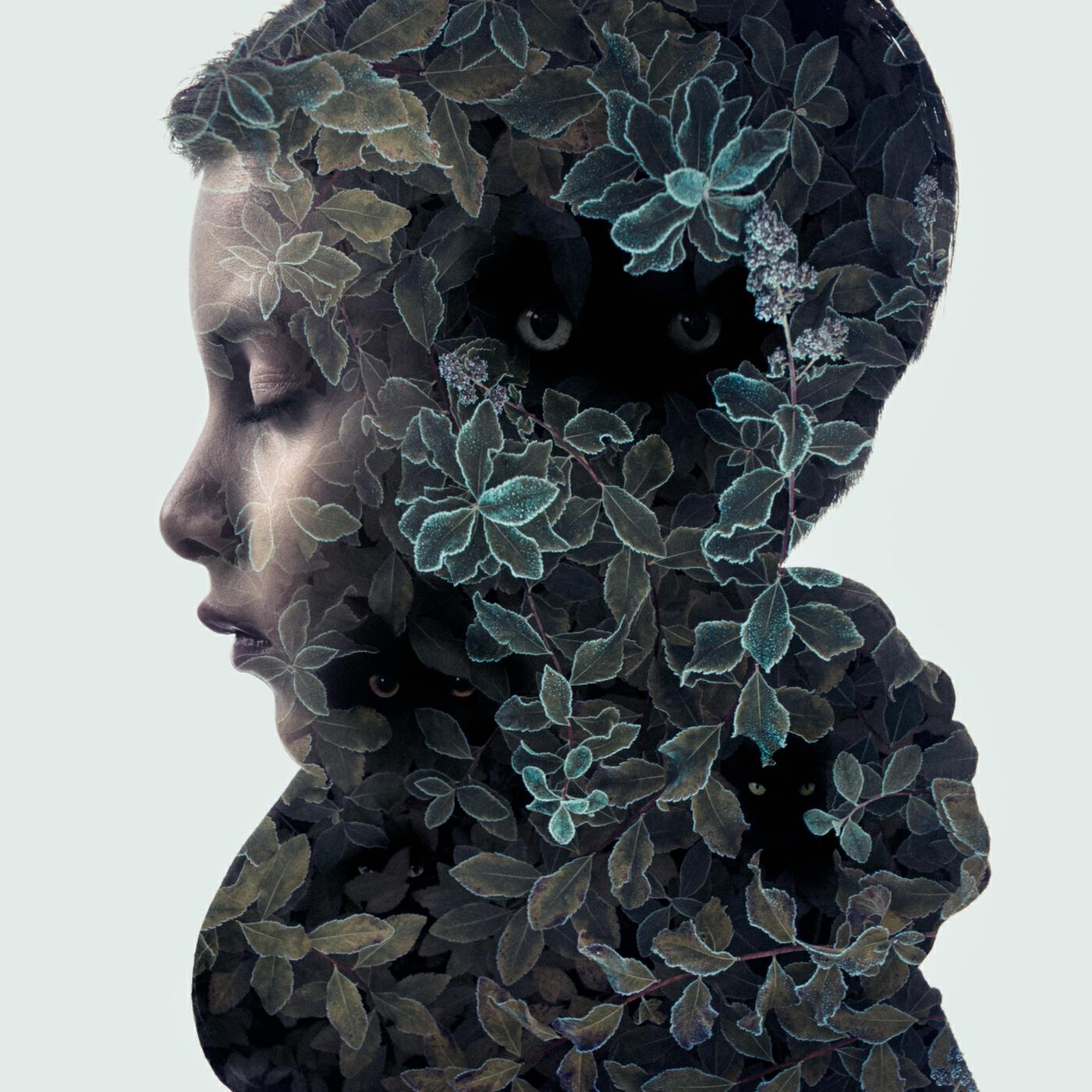 Релиз Inner Creatures