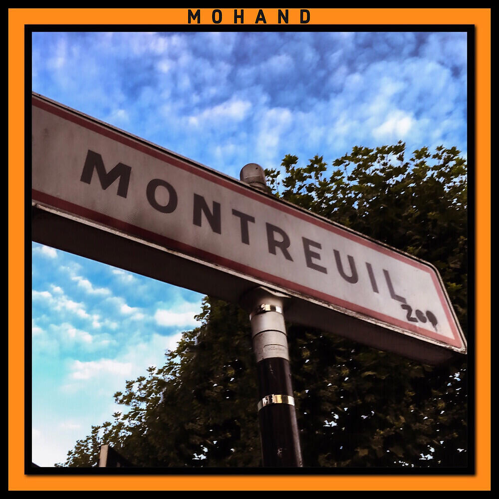 Релиз Montreuil Zoo