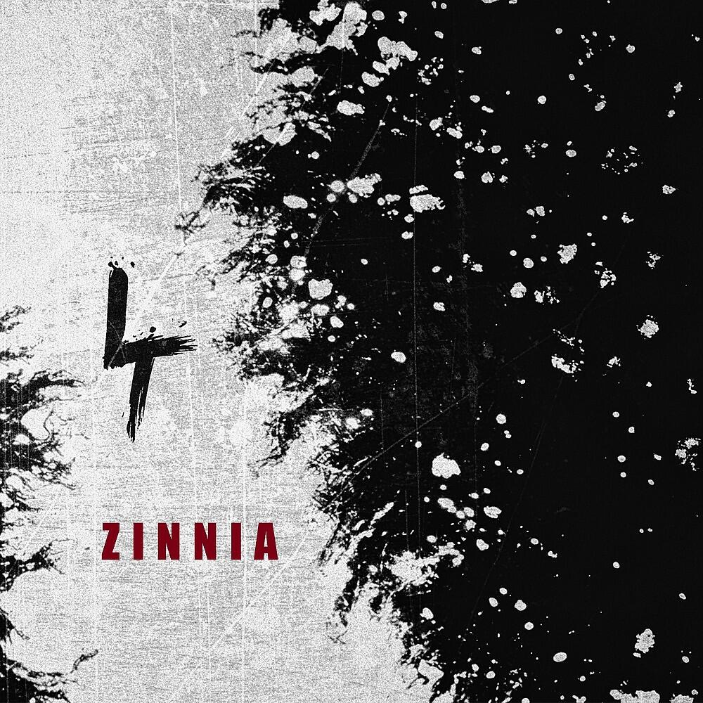 Релиз Zinnia