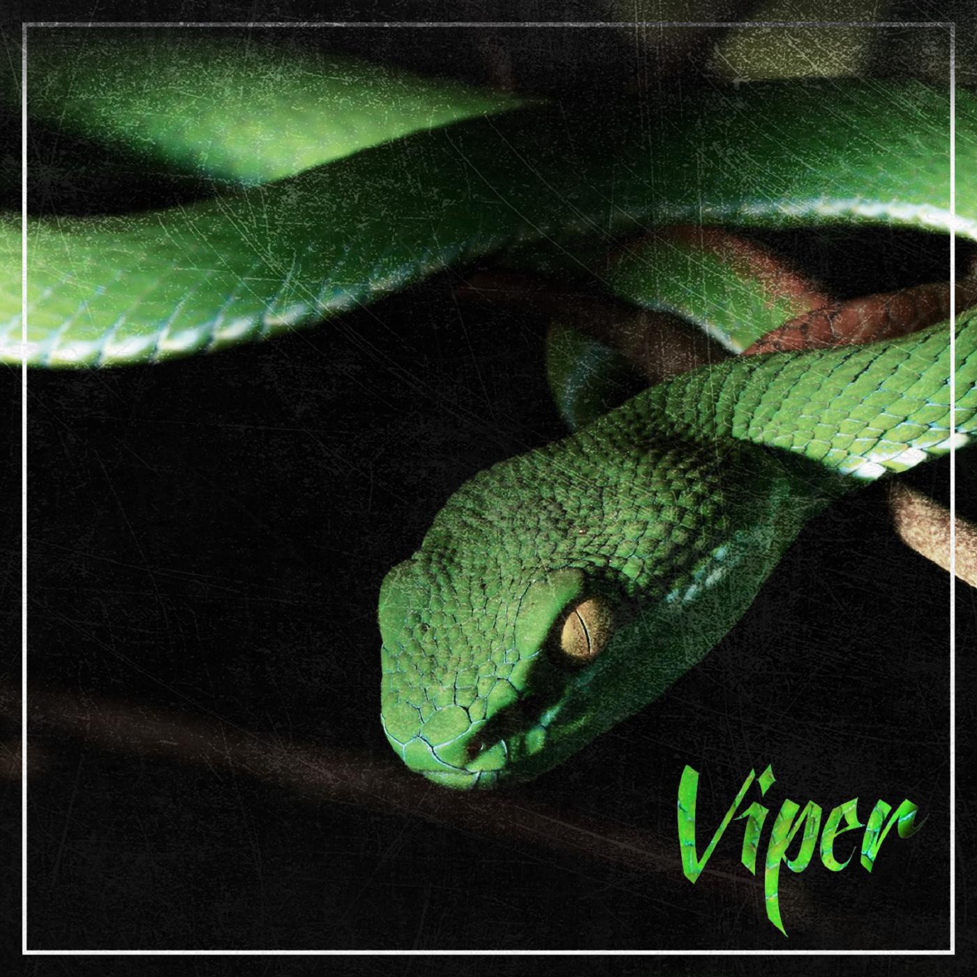 Релиз Viper