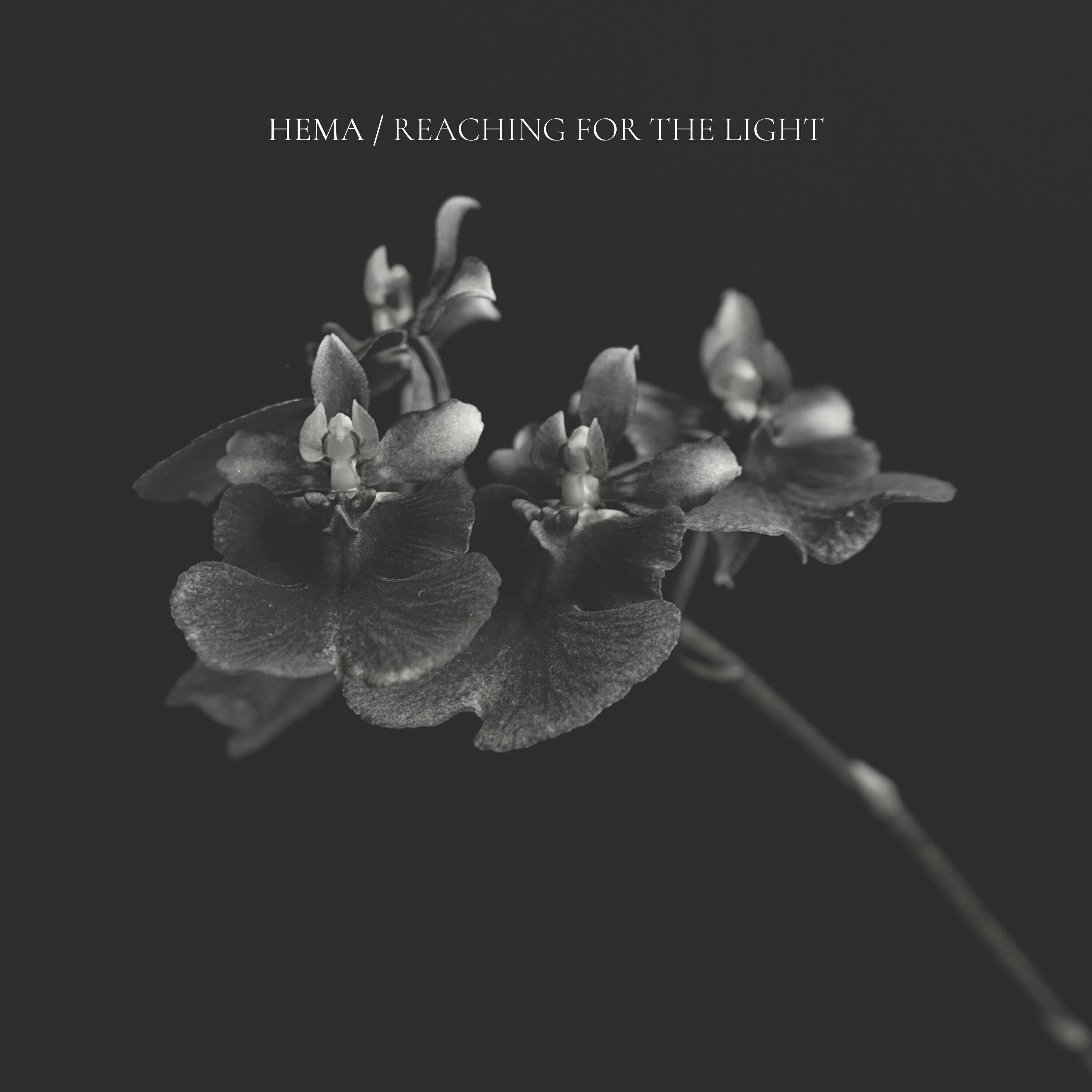 Релиз Reaching For The Light