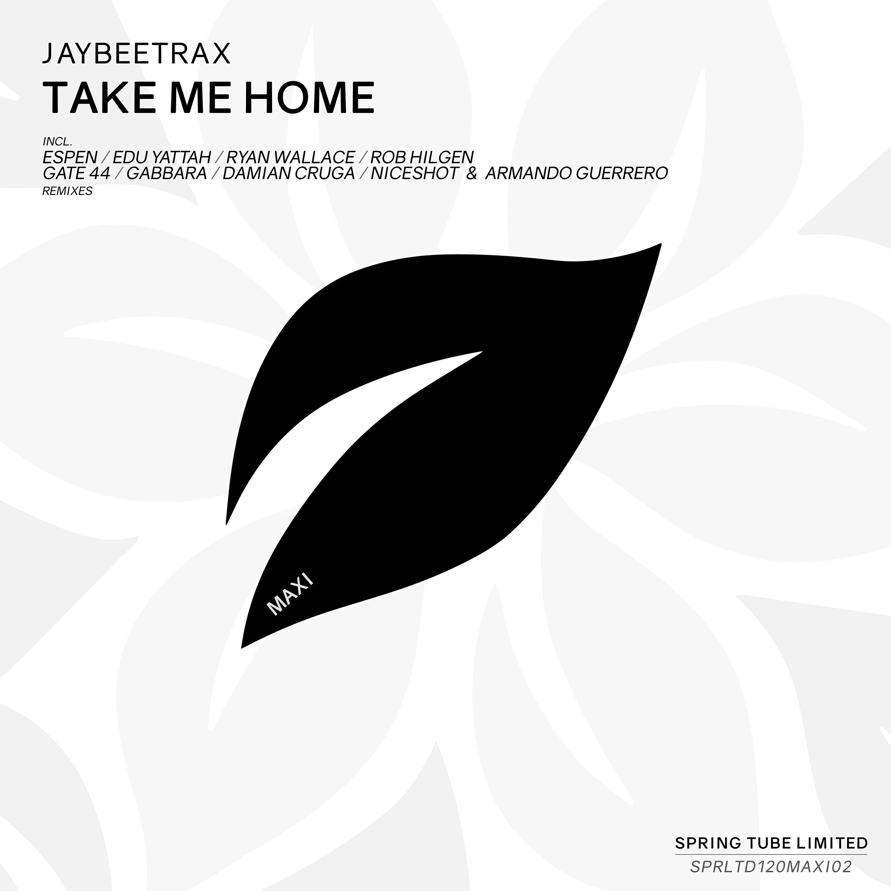 Релиз Take Me Home