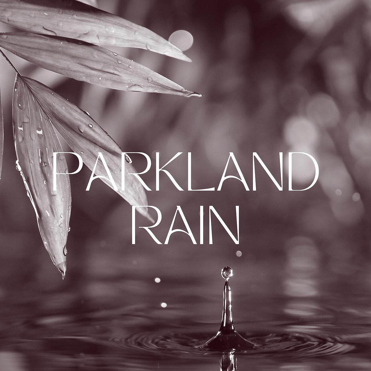 Rain Forest FX