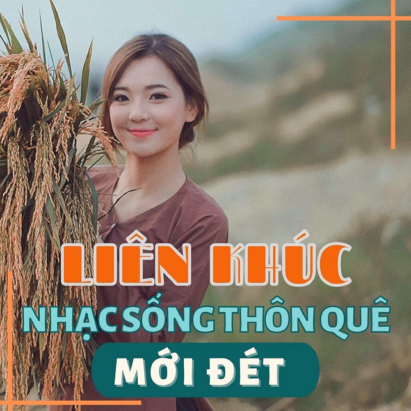 Постер альбома Liên khúc nhạc sống thôn quê mới đét