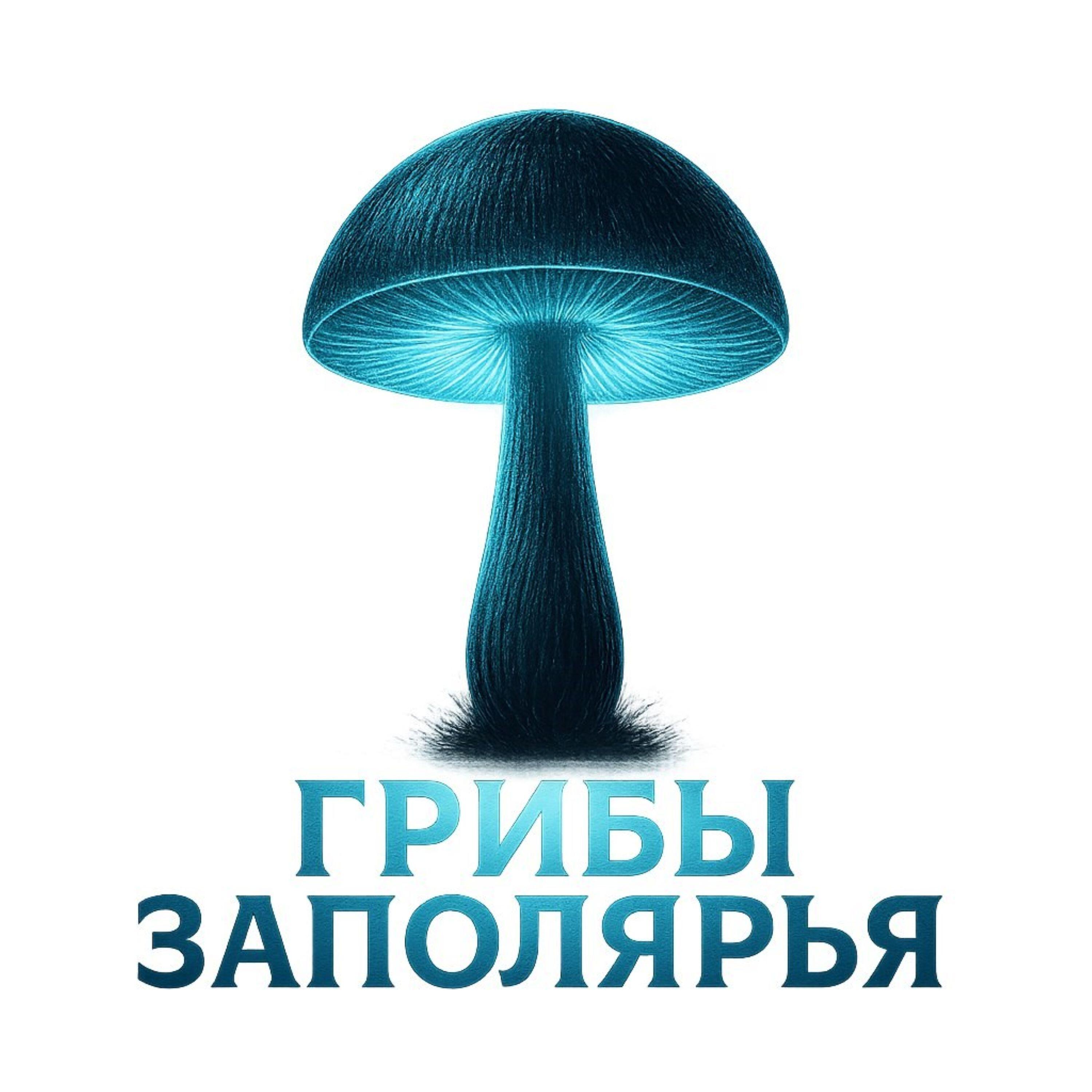 Релиз Новый год