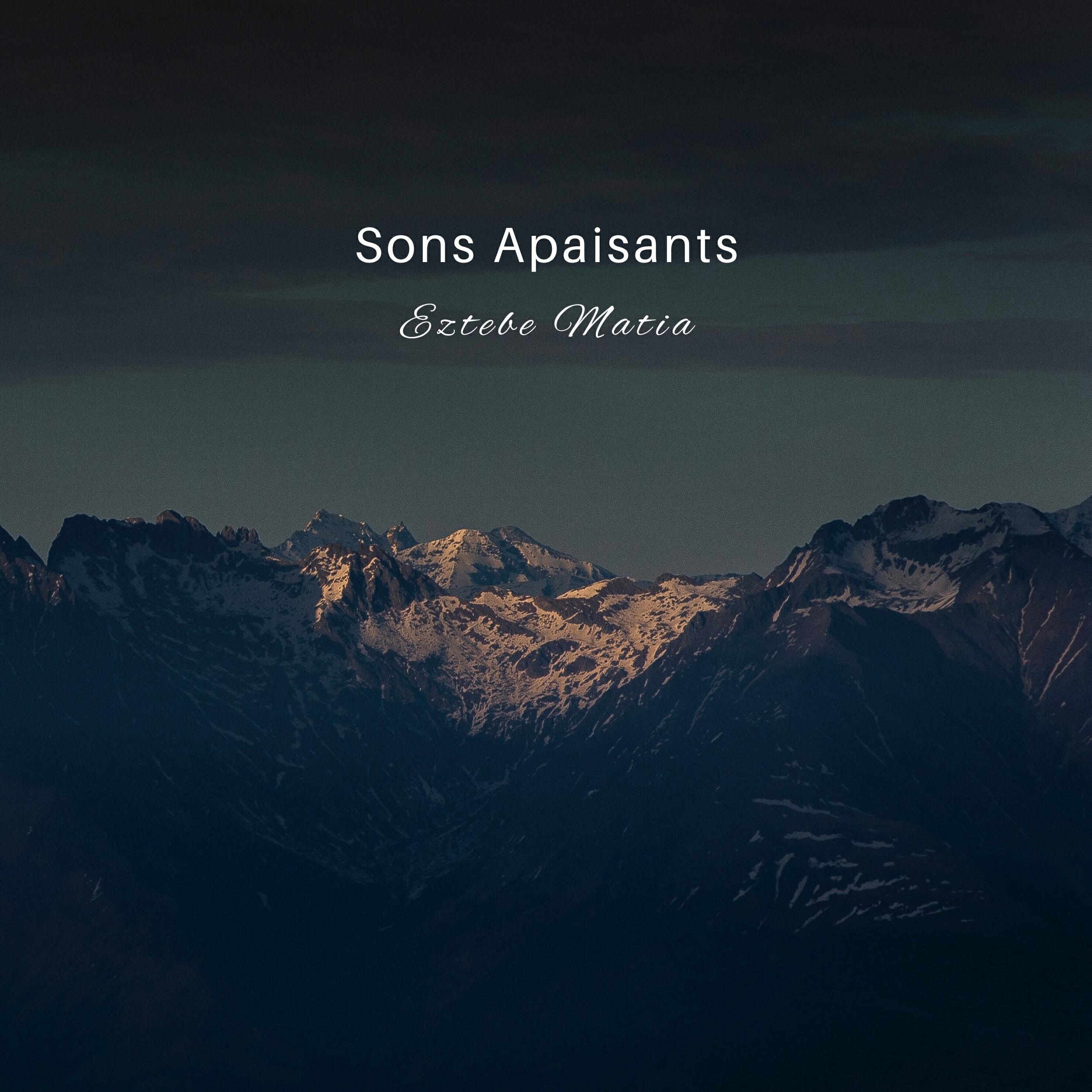 Релиз Sons Apaisants
