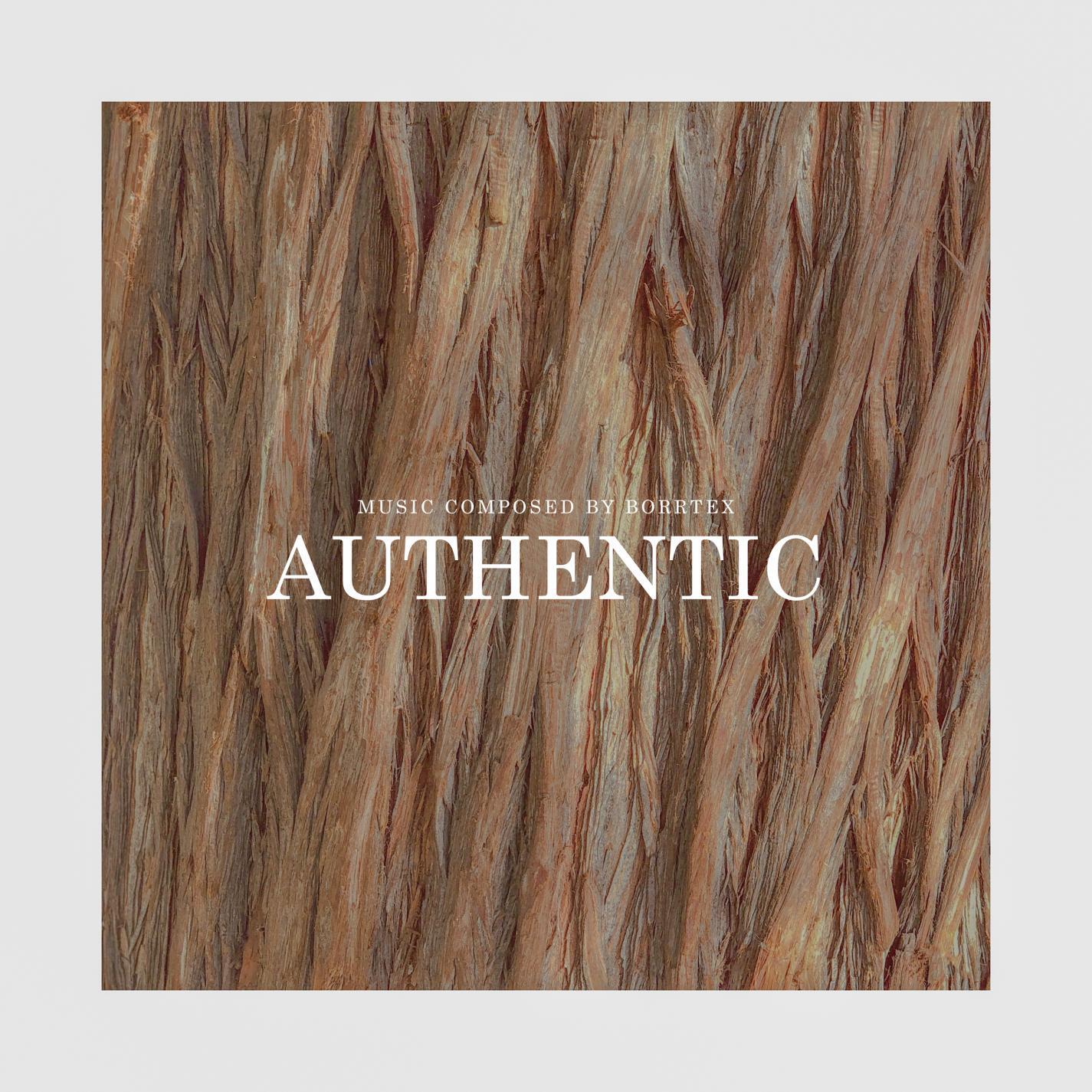 Релиз Authentic