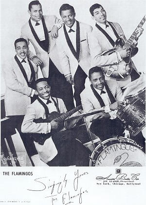 The  Flamingos