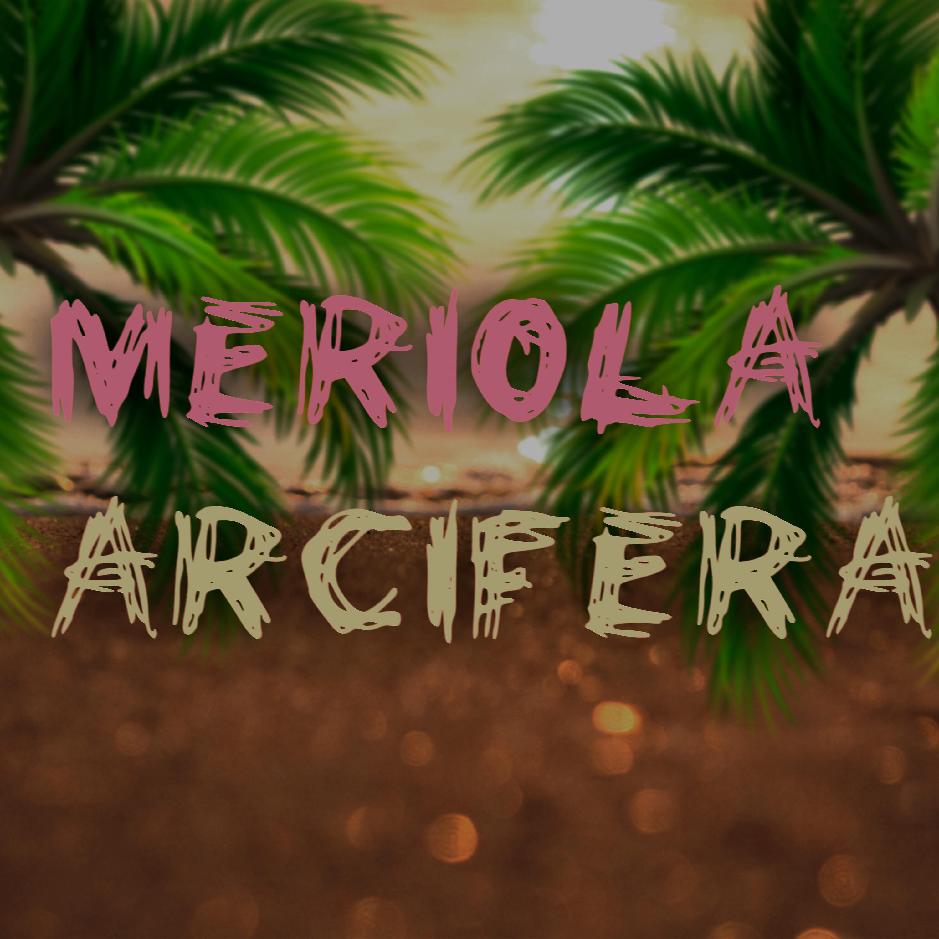 Релиз Meriola Arcifera