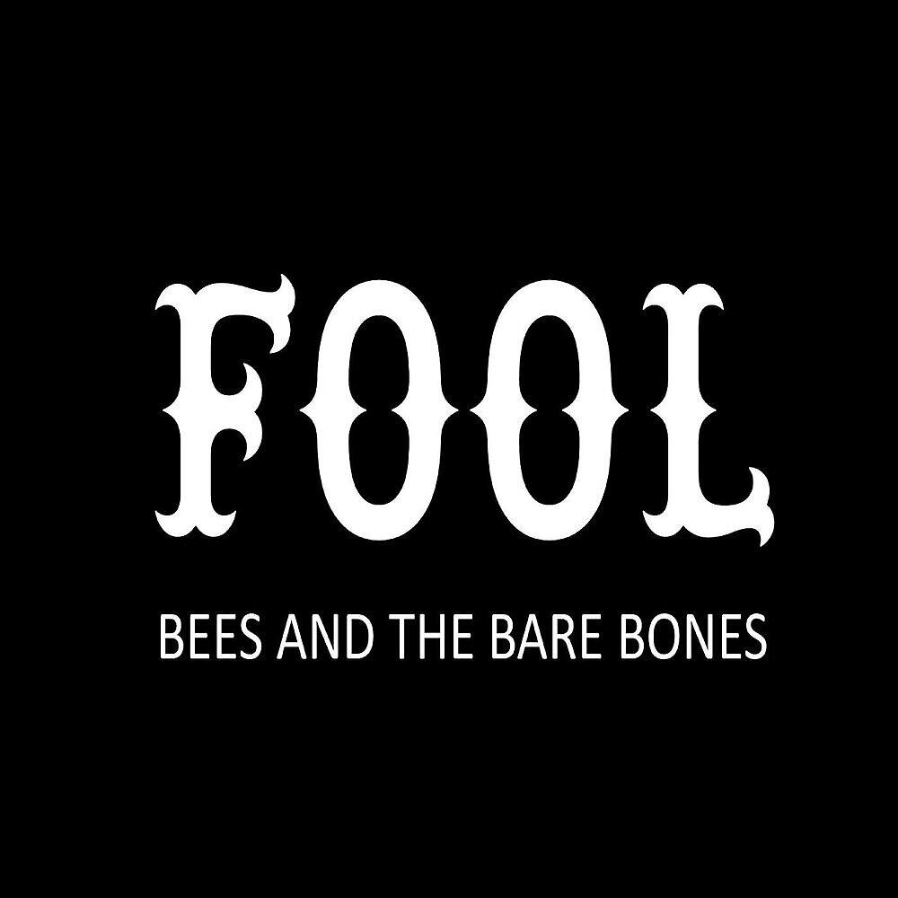 Релиз Fool