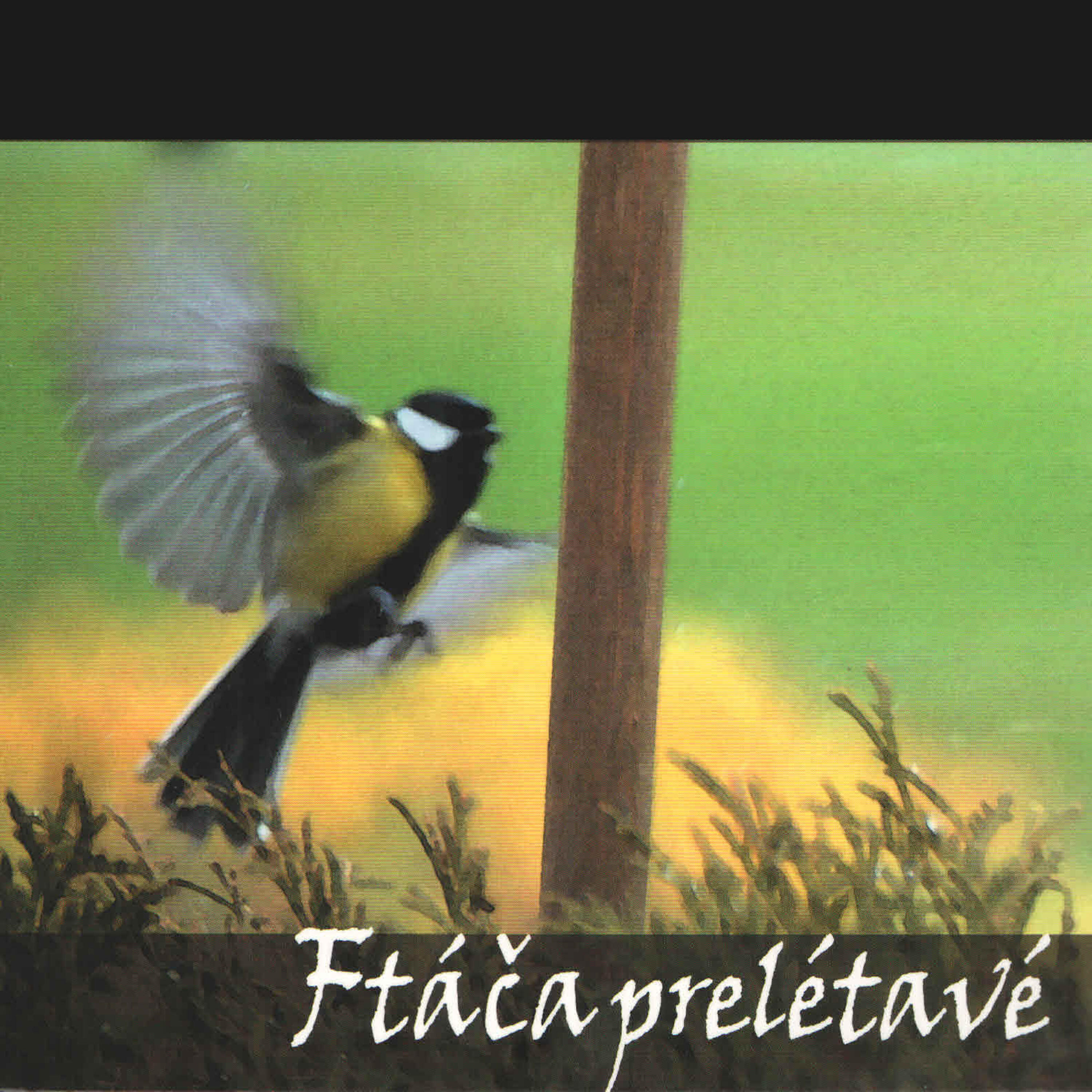 Релиз Ftáča prelétavé