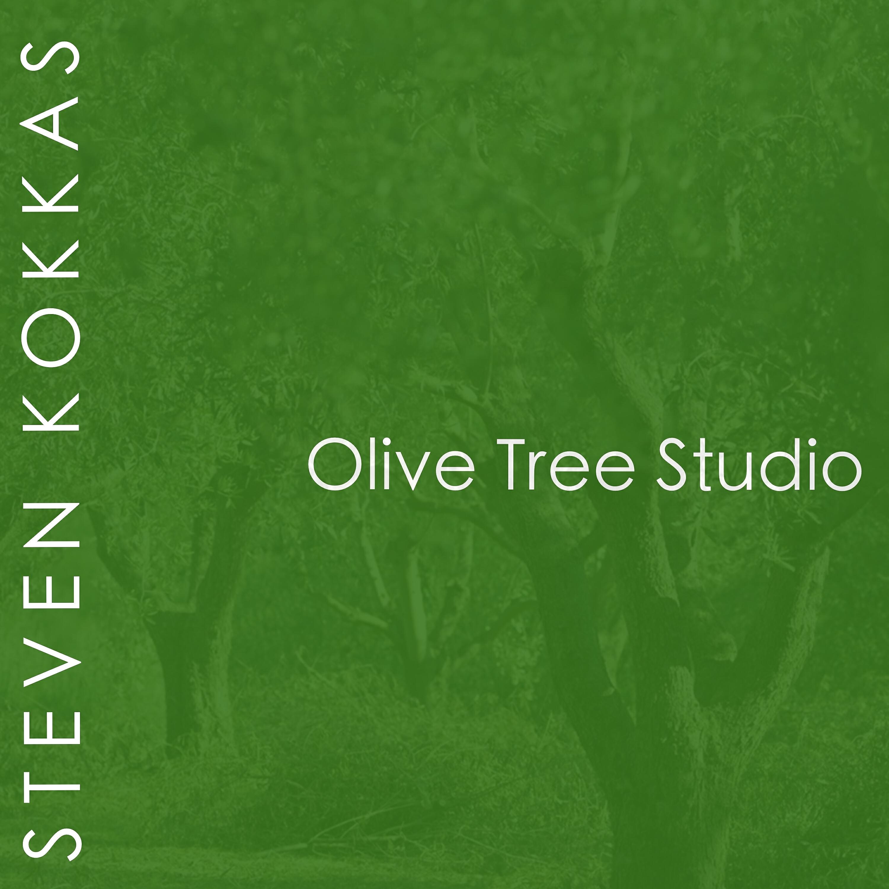 Релиз Olive Tree Studio