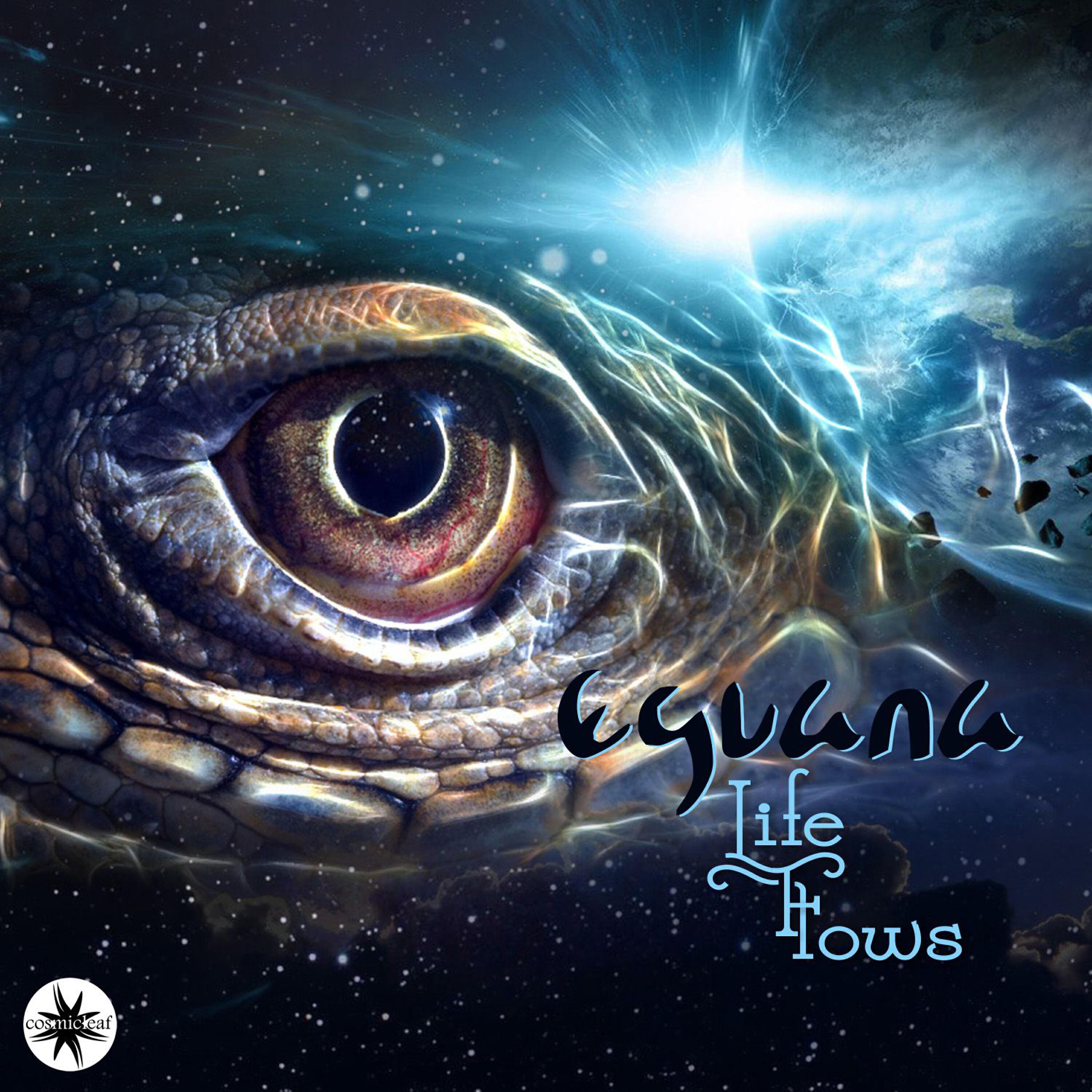 Релиз Life Flows