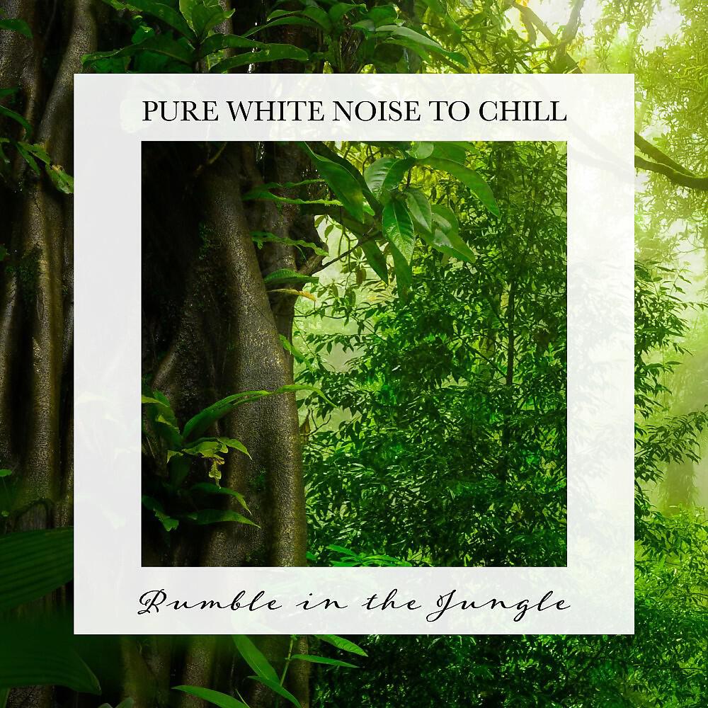 Релиз Rumble in the Jungle: Pure White Noise to Chill