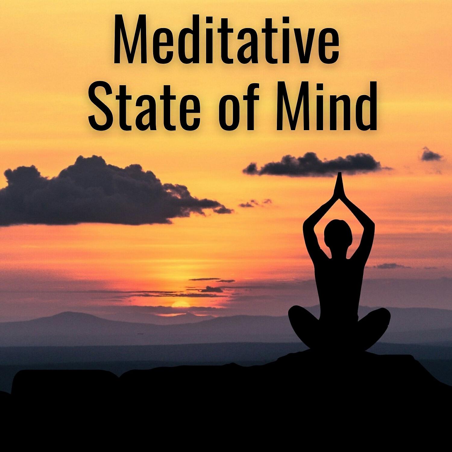 Релиз Meditative State of Mind
