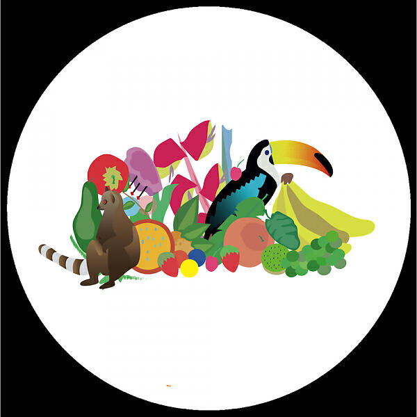Релиз Wonders of the Rainforest ep