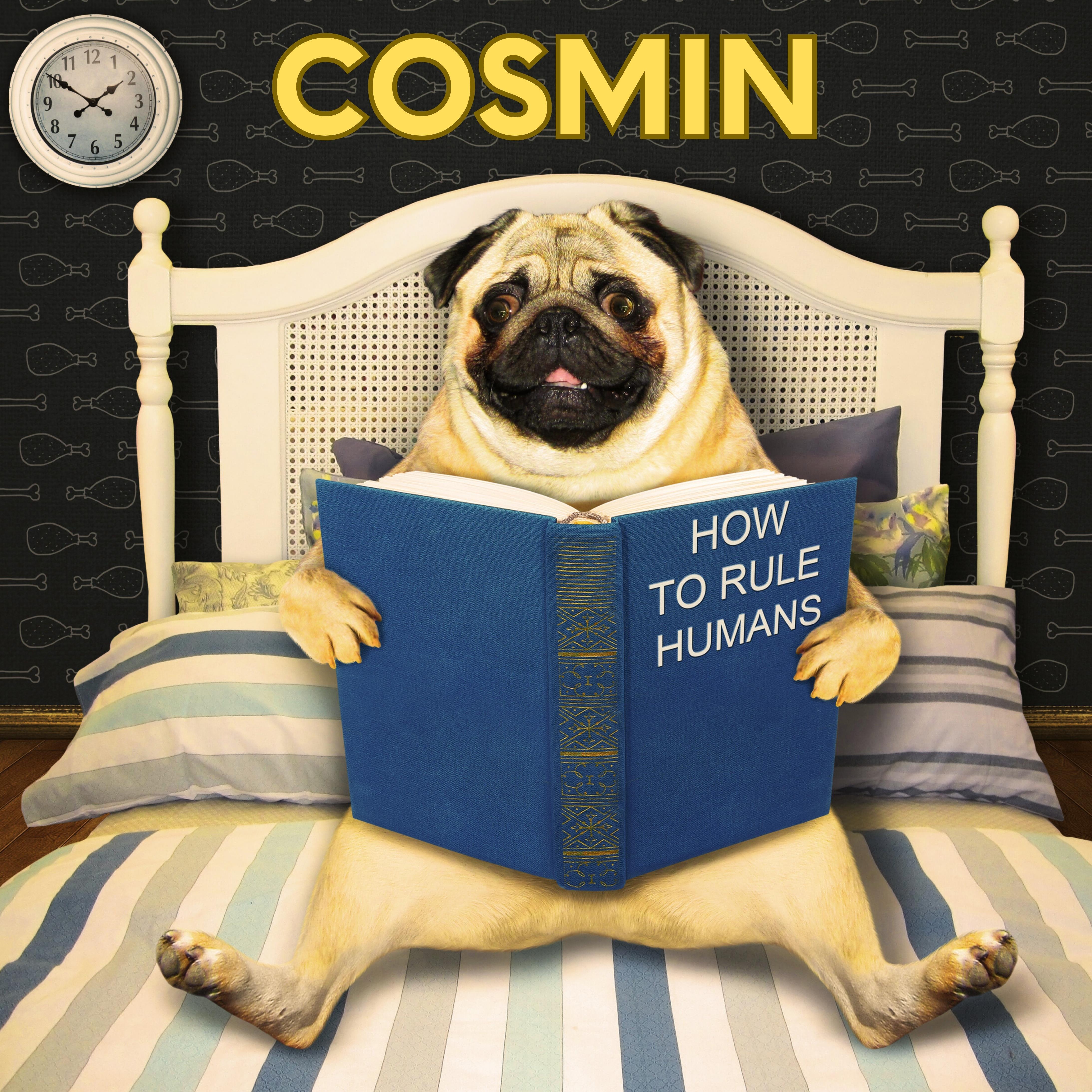 Релиз How To Rule Humans