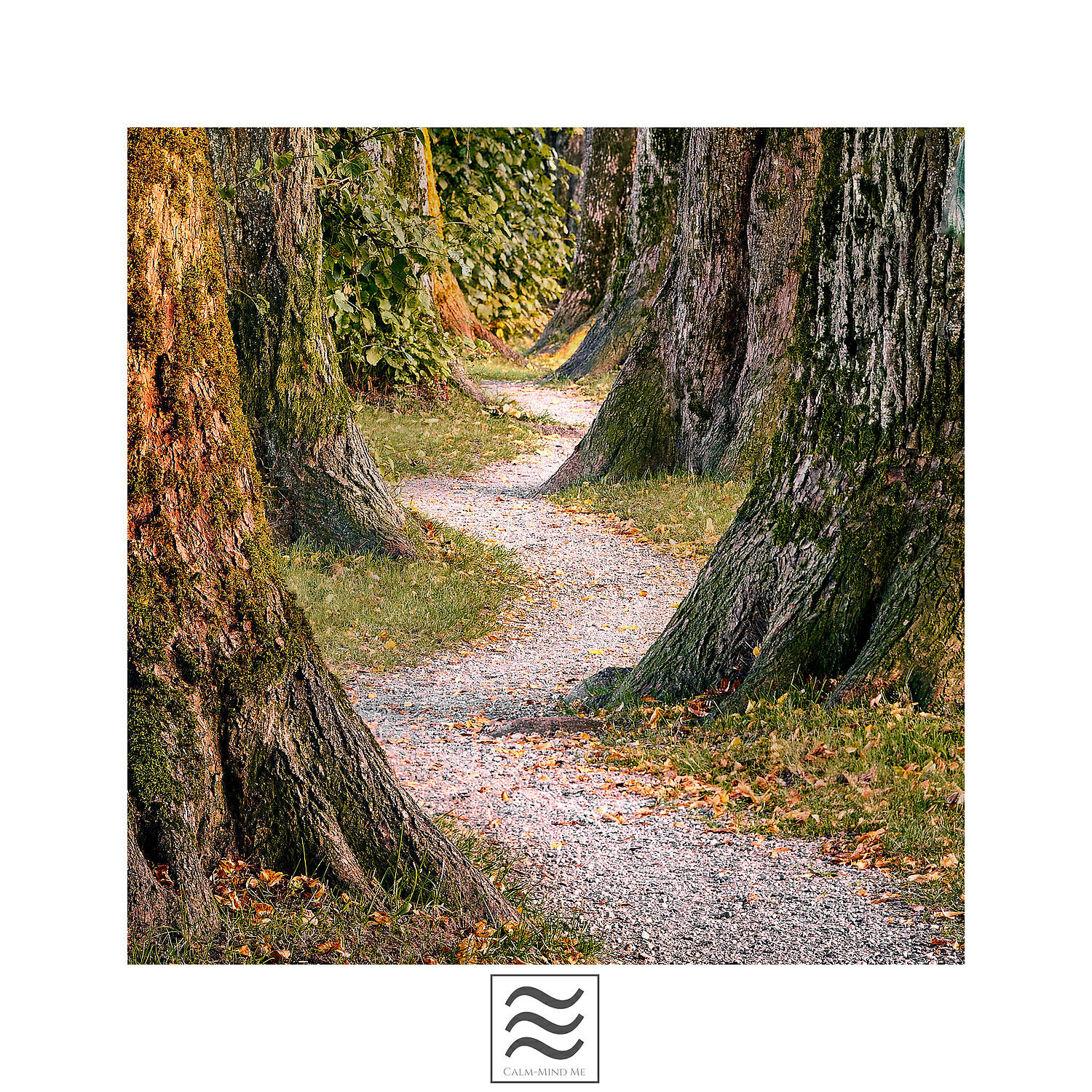 Relajacion Sonidos ligeros y ruidosos