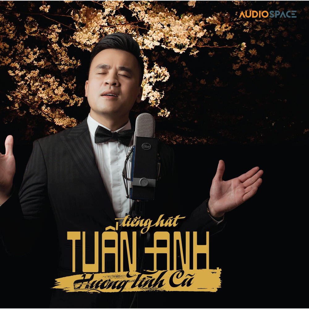 Релиз Hương Tình Cũ 2