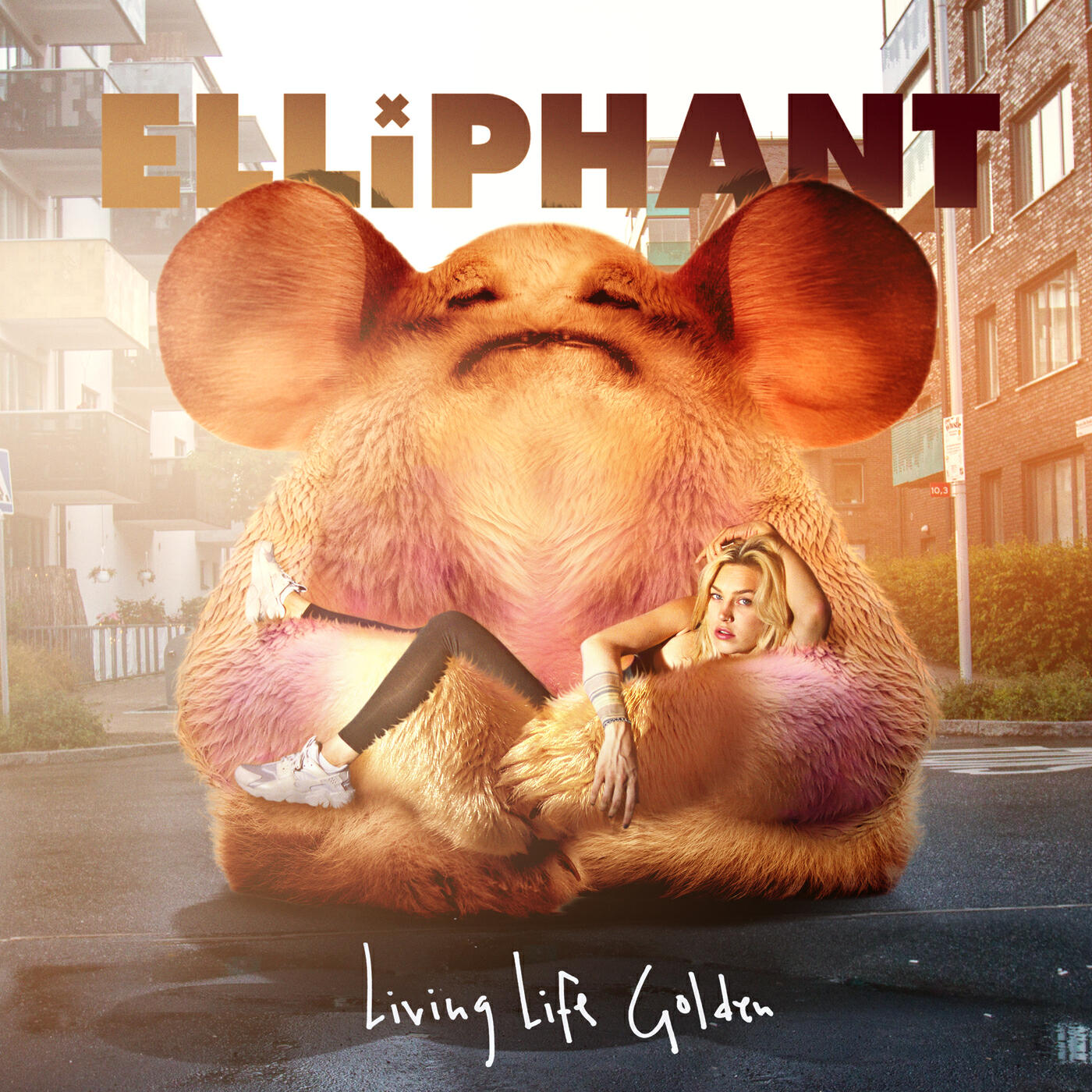 Постер альбома Living Life Golden